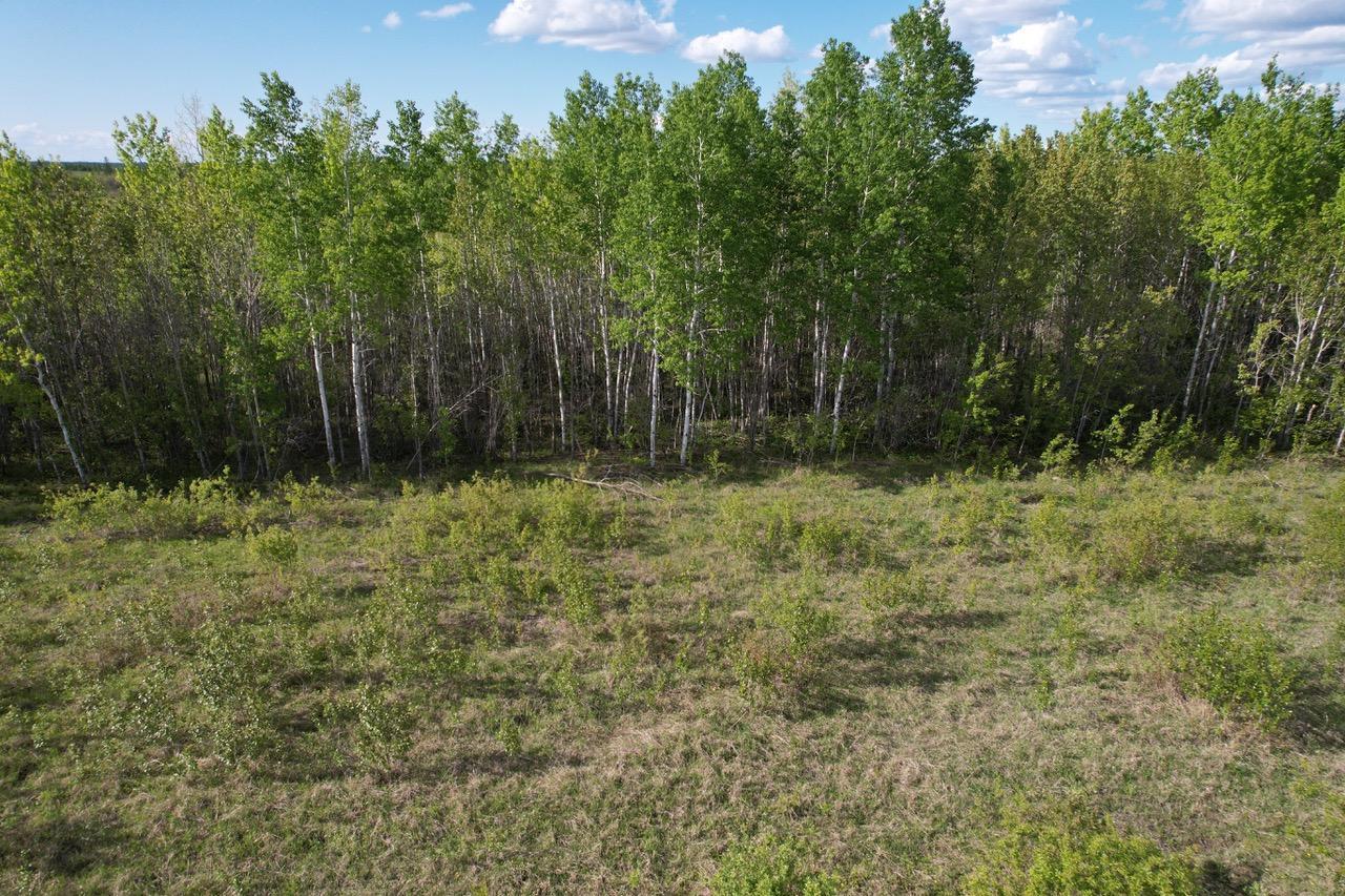 TBD 39th Street Se, Baudette, Minnesota image 2