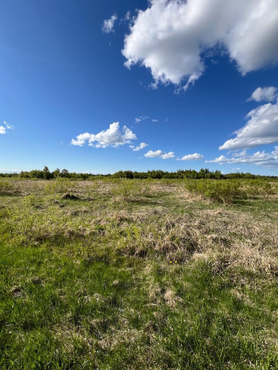 TBD 39th Street Se, Baudette, Minnesota image 8