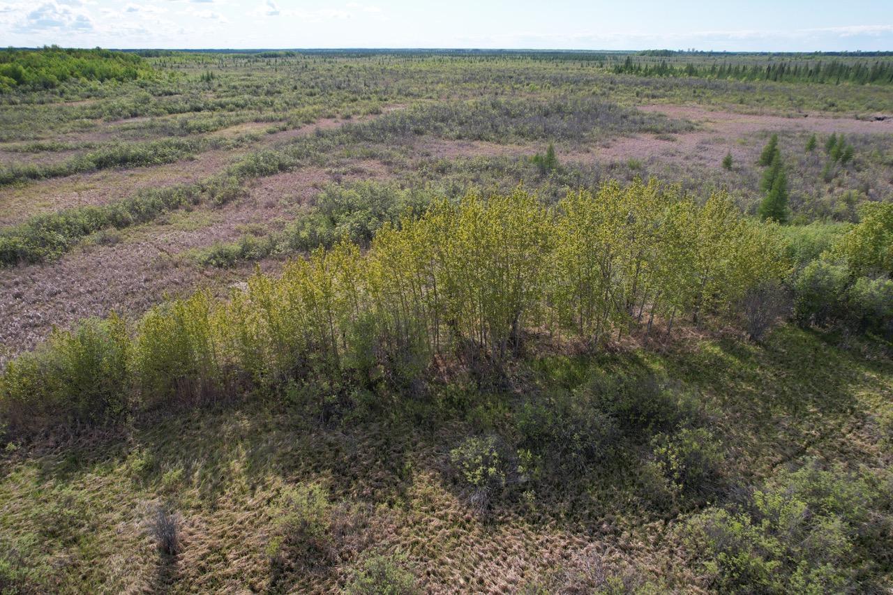 TBD 39th Street Se, Baudette, Minnesota image 33