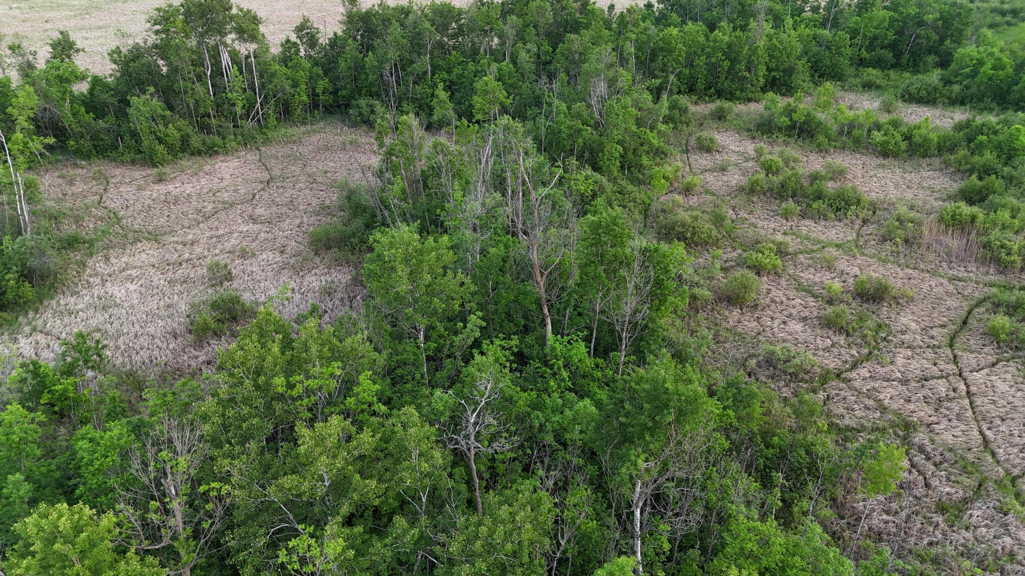 TBD Hwy 70, Rock Creek, Minnesota image 29