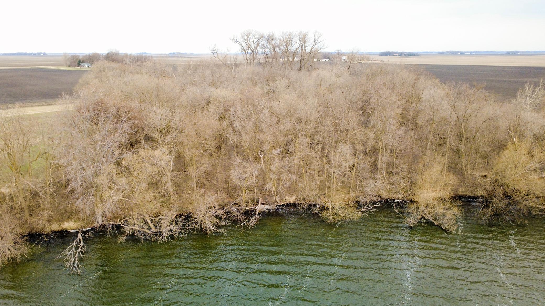 13550 515th Avenue, Cosmos, Minnesota image 6