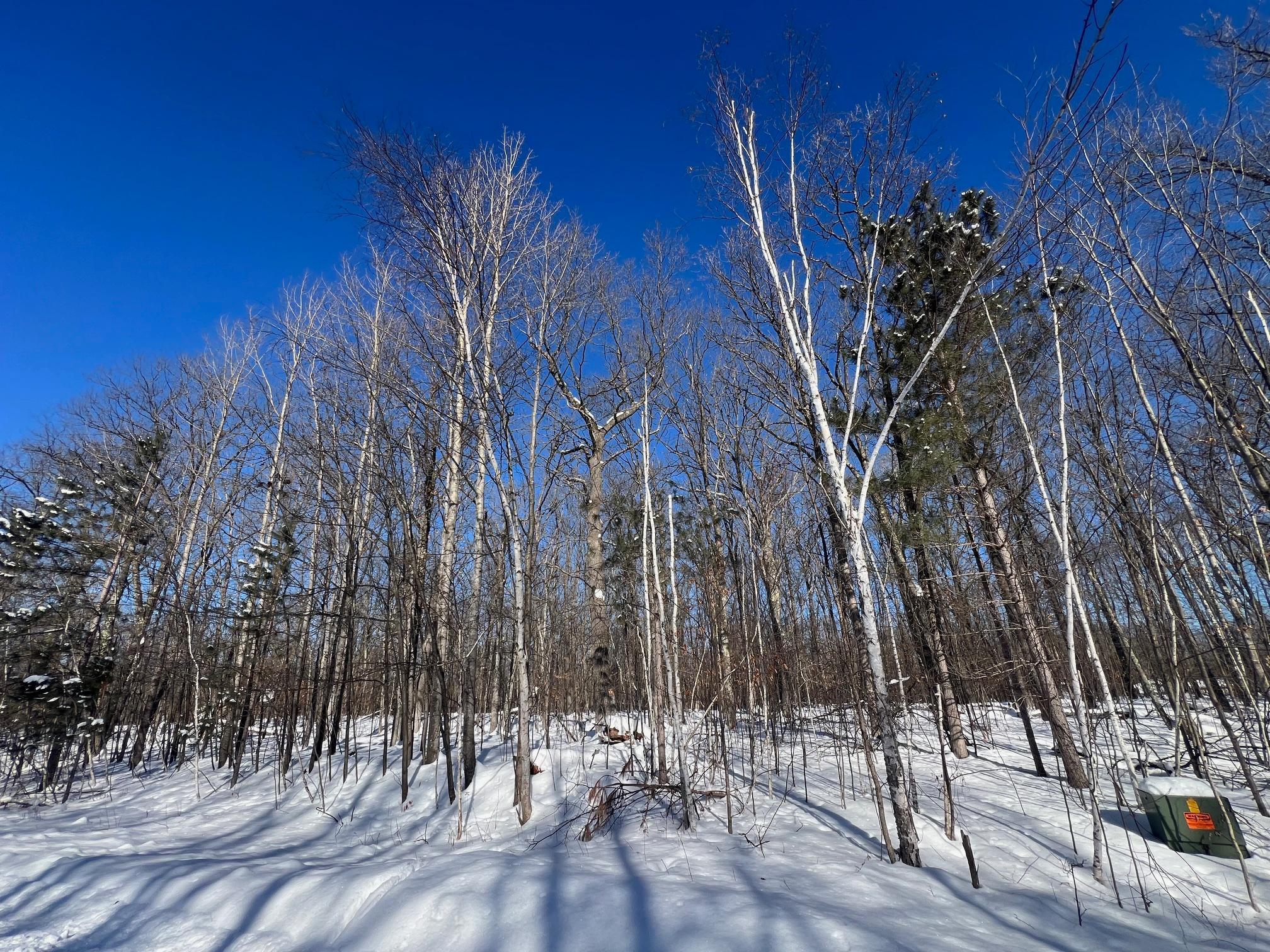 TBD Furey Road, Willow River, Minnesota image 4