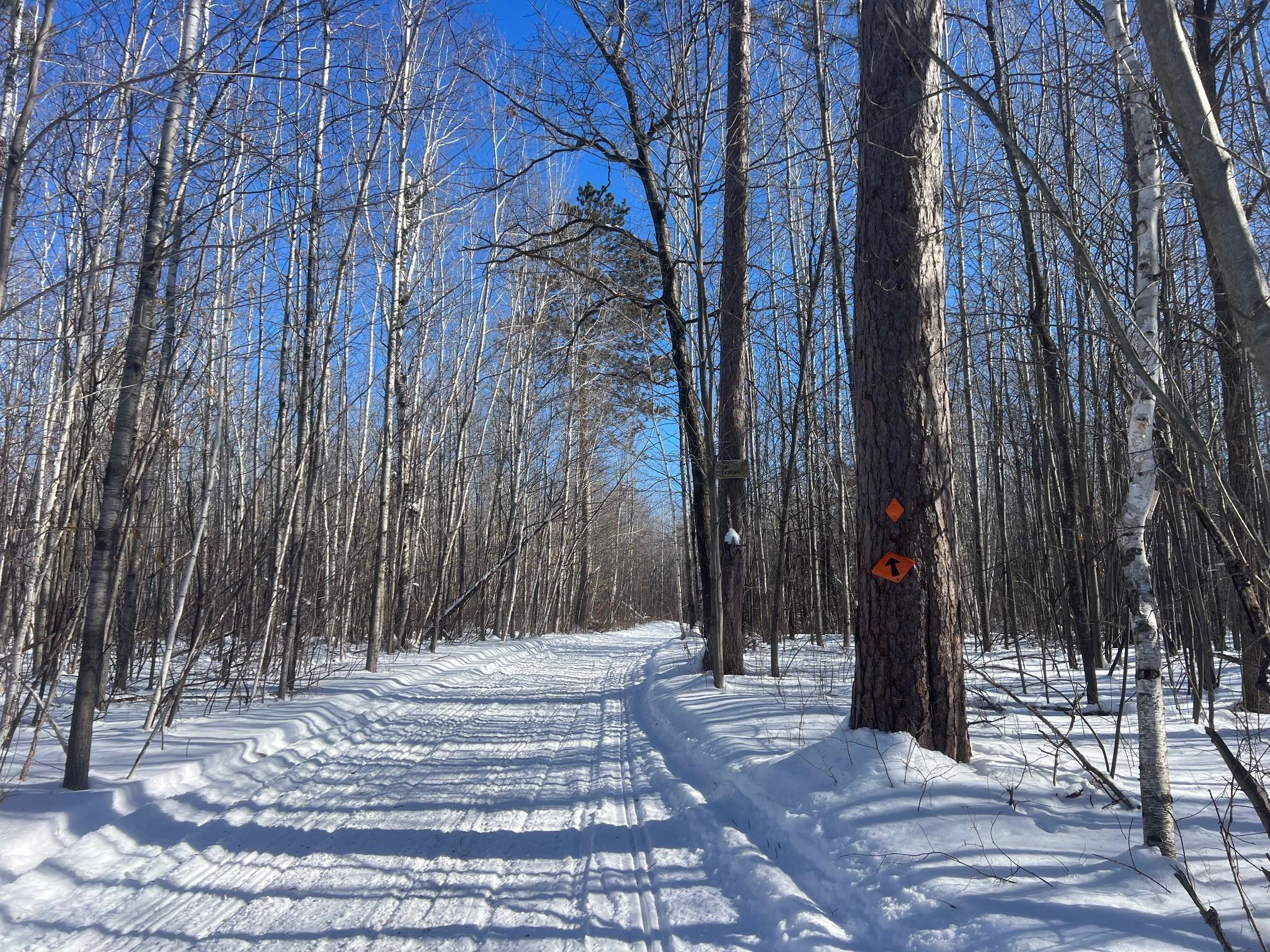 TBD Furey Road, Willow River, Minnesota image 16