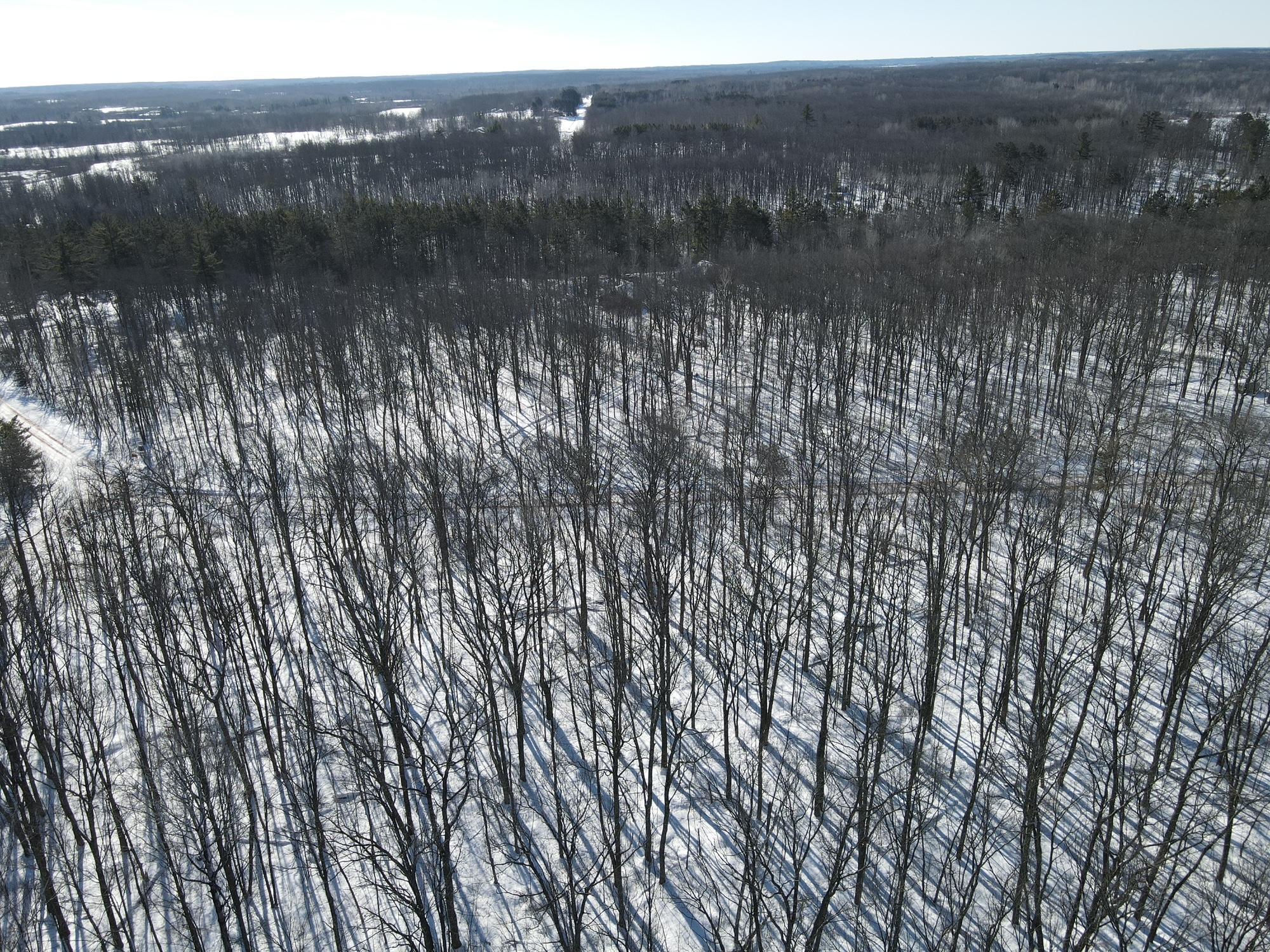 TBD Furey Road, Willow River, Minnesota image 17