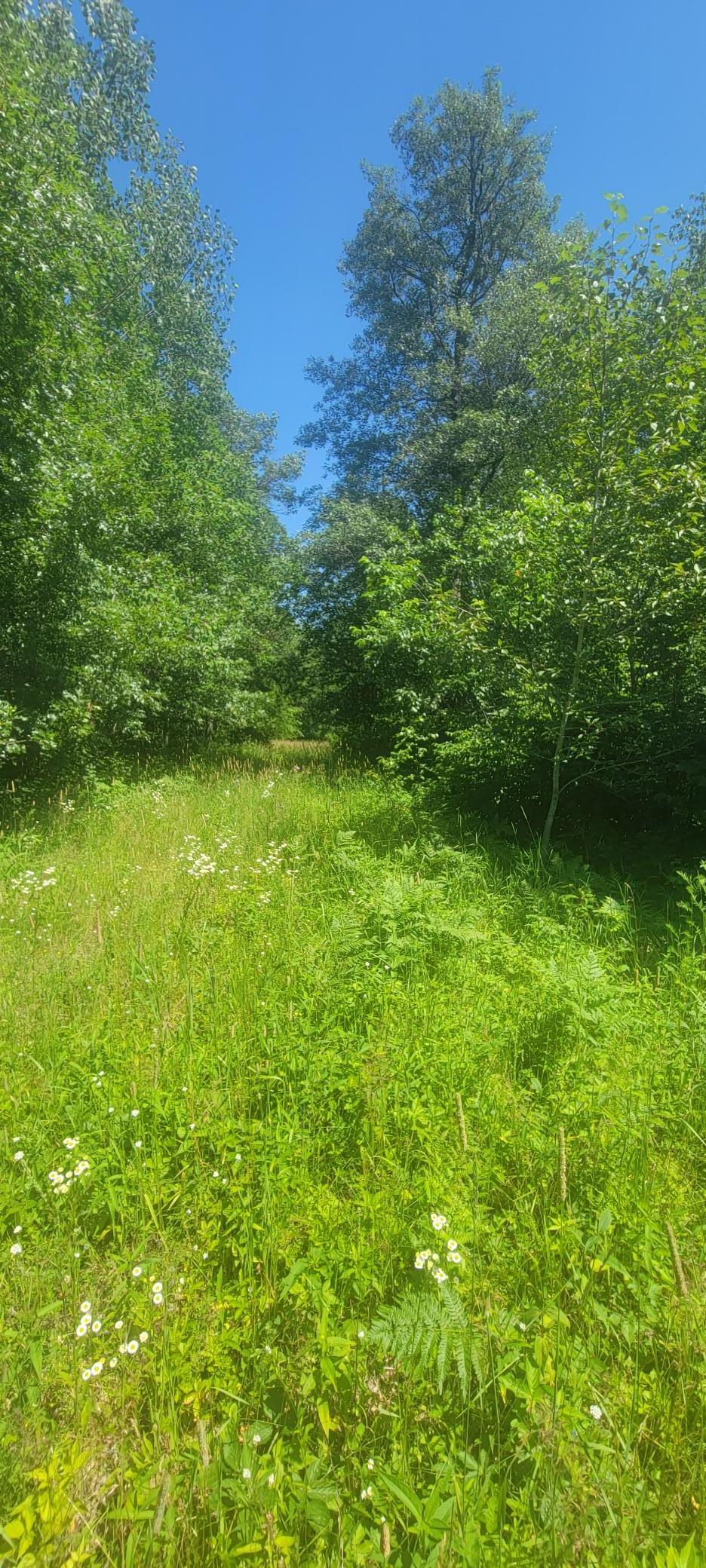 400 State Forest Rd 400, Osage, Minnesota image 9