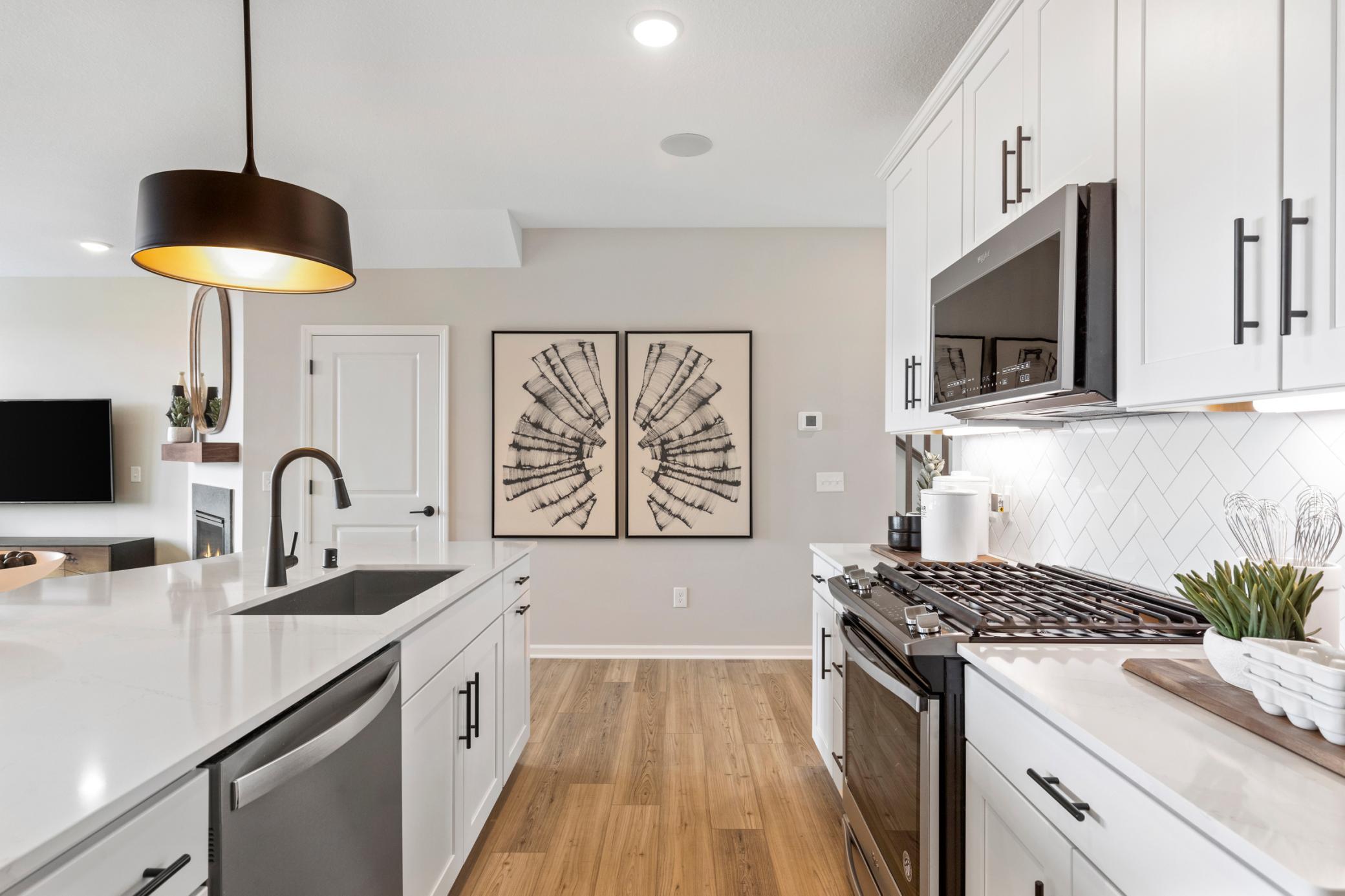 4806 Airlake Drive, Woodbury, Minnesota image 3