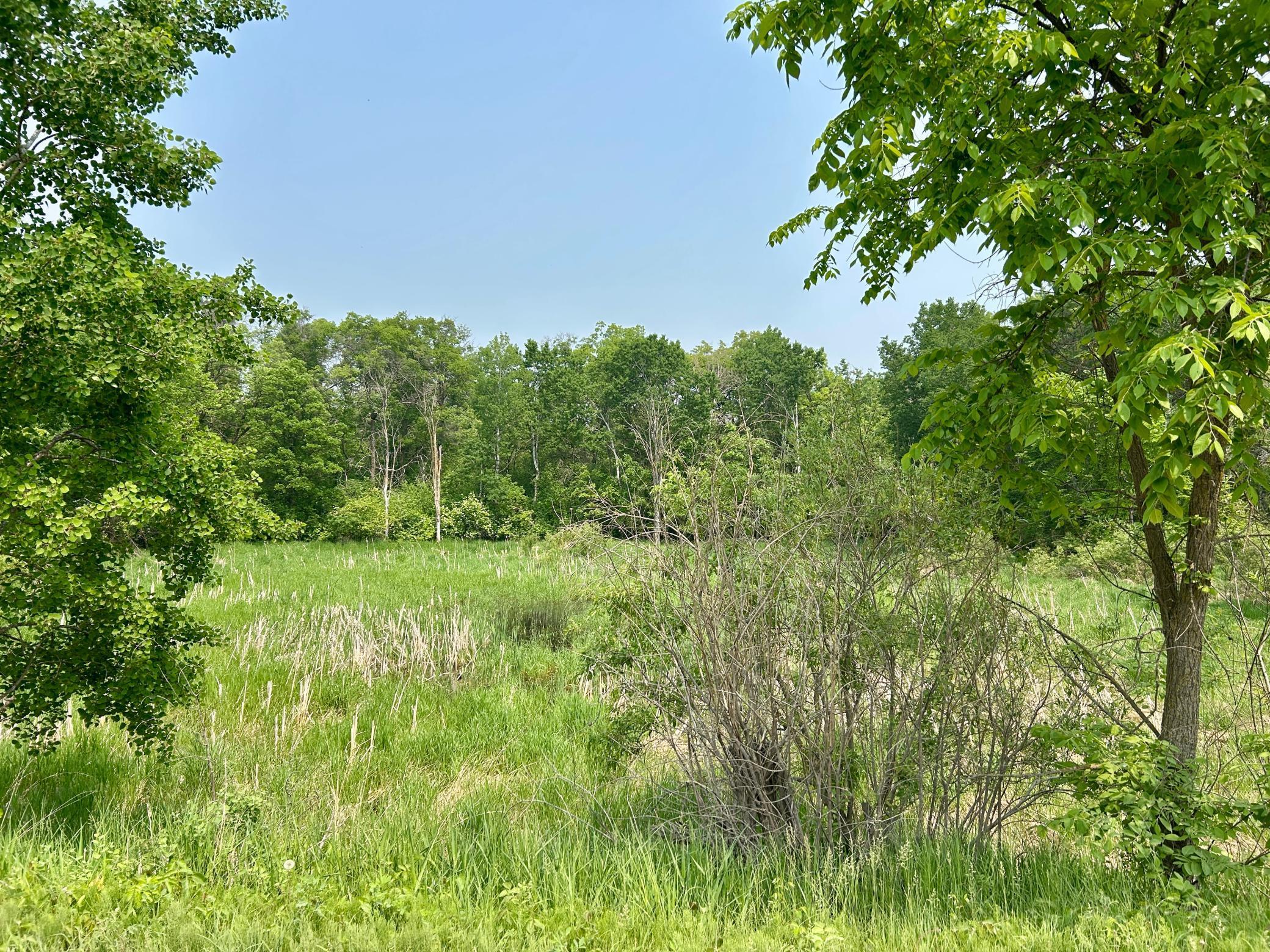 TBD County Highway 65, Henning, Minnesota image 3