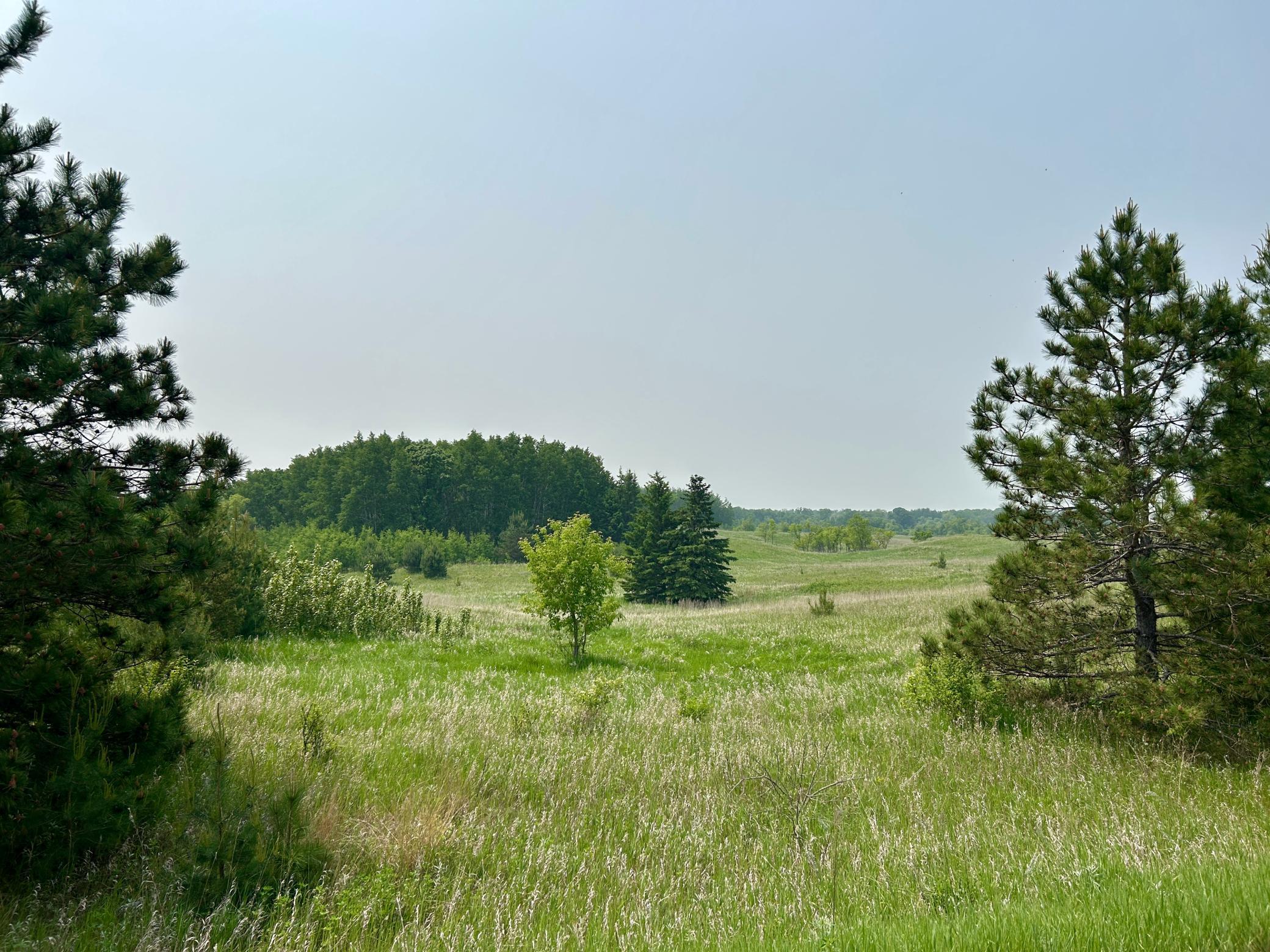 TBD County Highway 65, Henning, Minnesota image 2