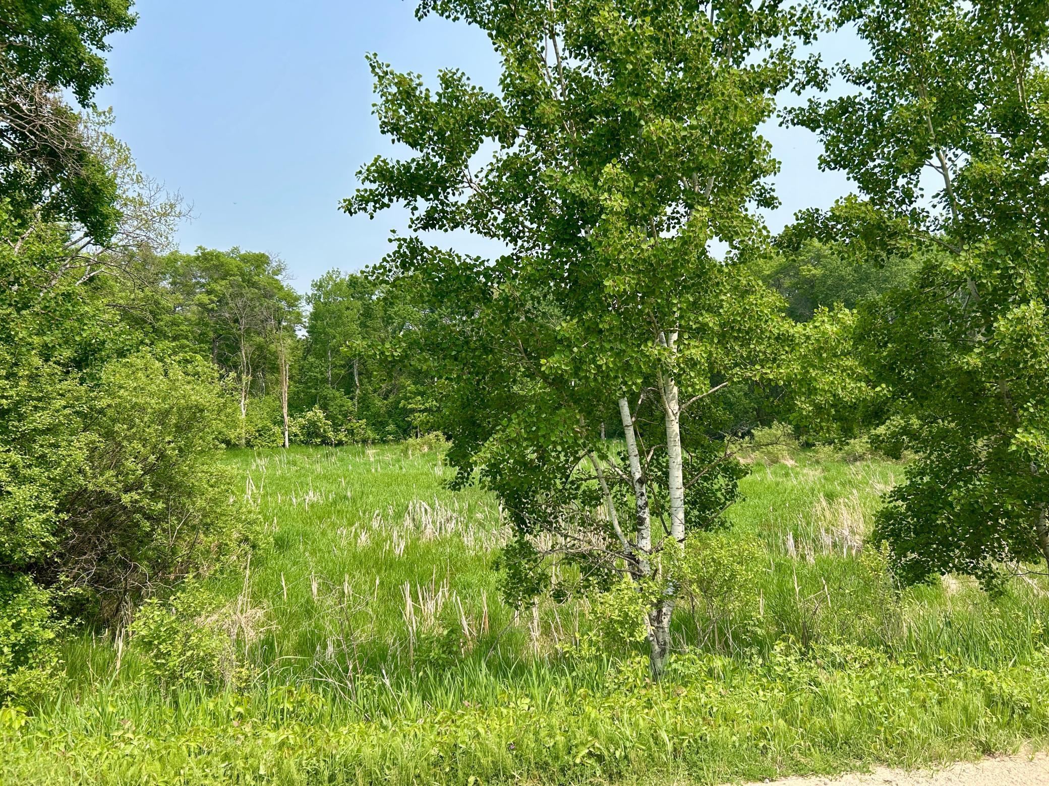 TBD County Highway 65, Henning, Minnesota image 5