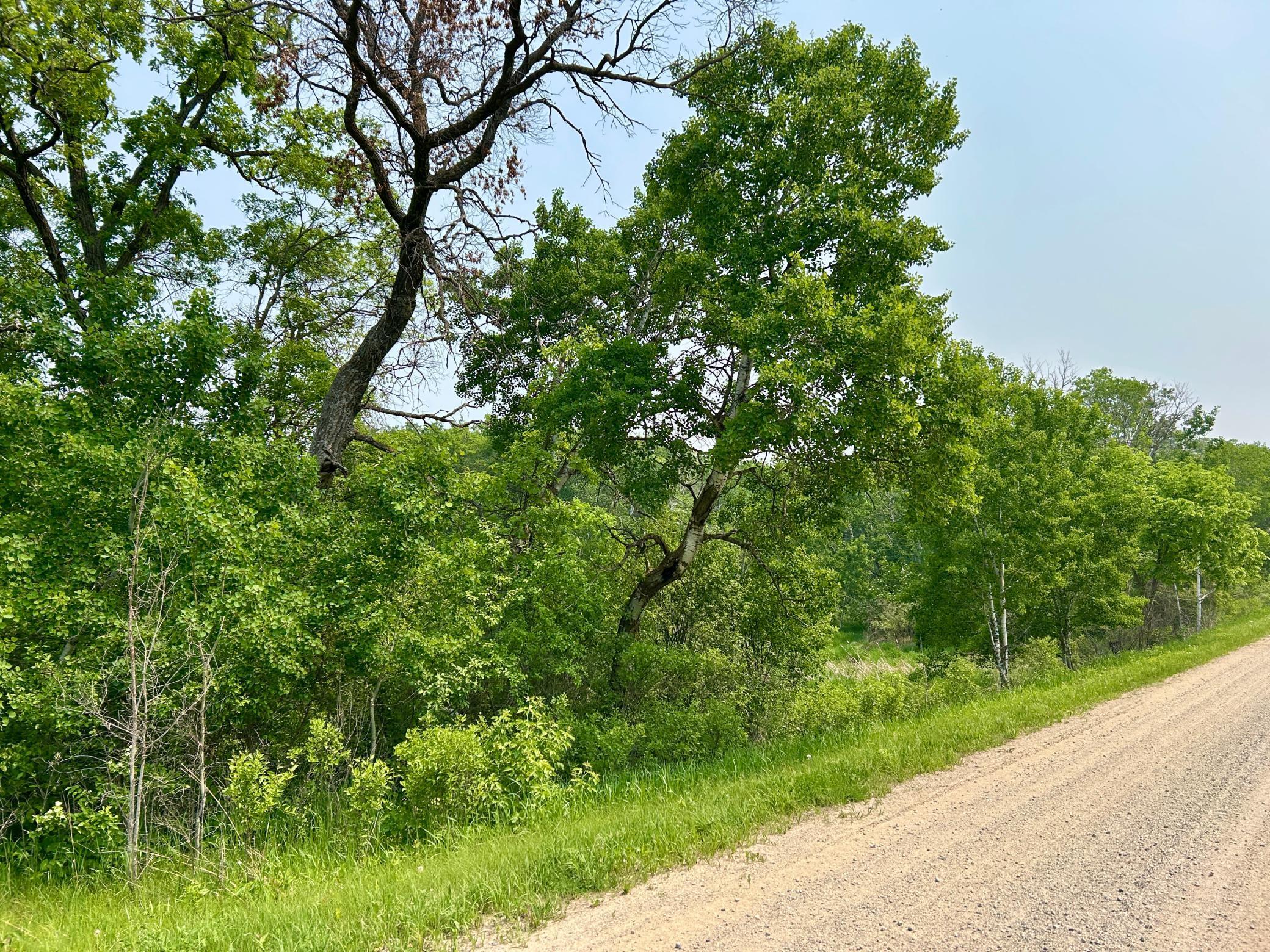 TBD County Highway 65, Henning, Minnesota image 4