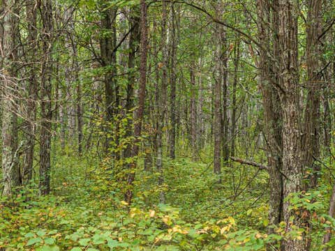Vacant Land For Sale - LOT C Sandbar Lane<br/> Merrifield, MN 56465