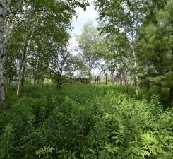 18625 Skunk Lake Road, Sandstone, Minnesota image 23