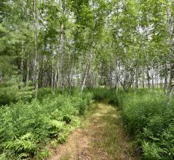18625 Skunk Lake Road, Sandstone, Minnesota image 2