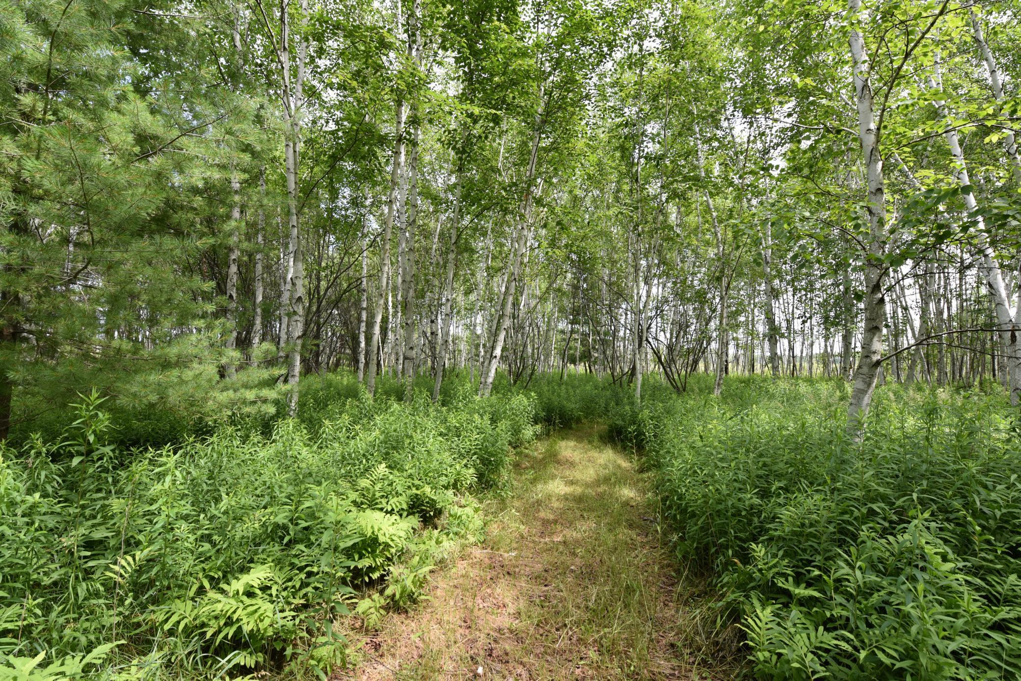 18625 Skunk Lake Road, Sandstone, Minnesota image 38