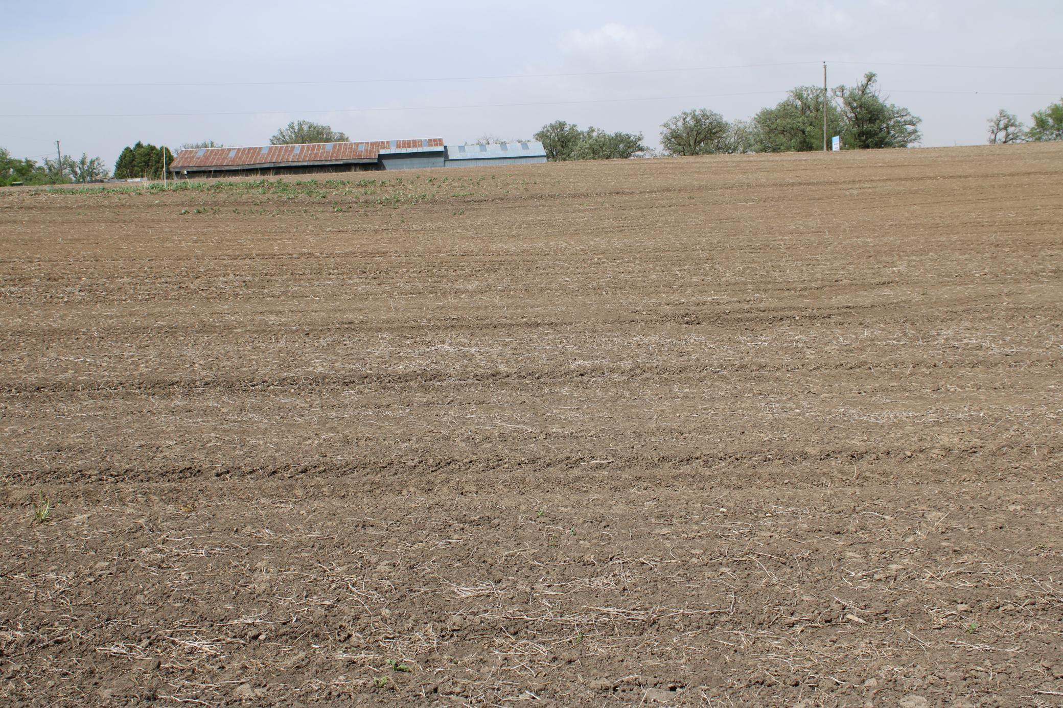 TBD County Highway 24 Road, West Concord, Minnesota image 6