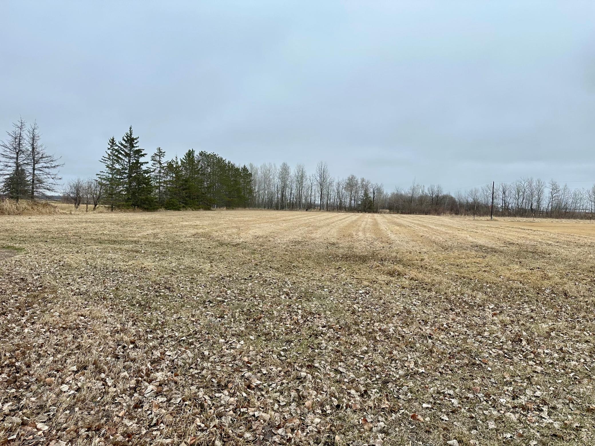 19912 State Highway 32, Greenbush, Minnesota image 10
