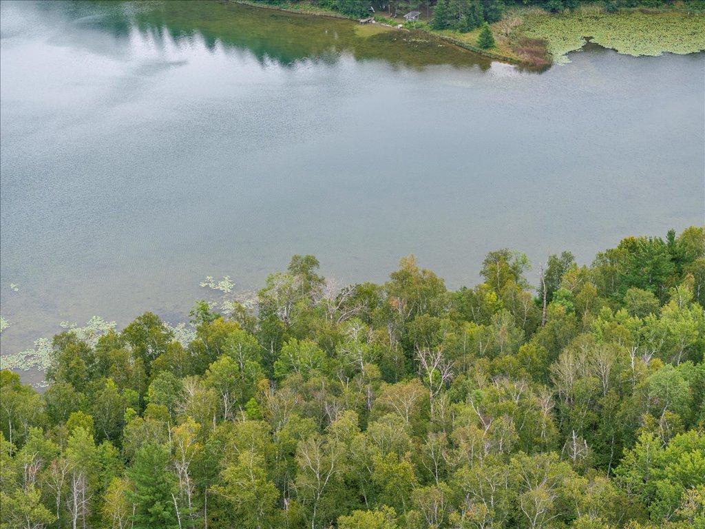 TBD 290th Street, Park Rapids, Minnesota image 3
