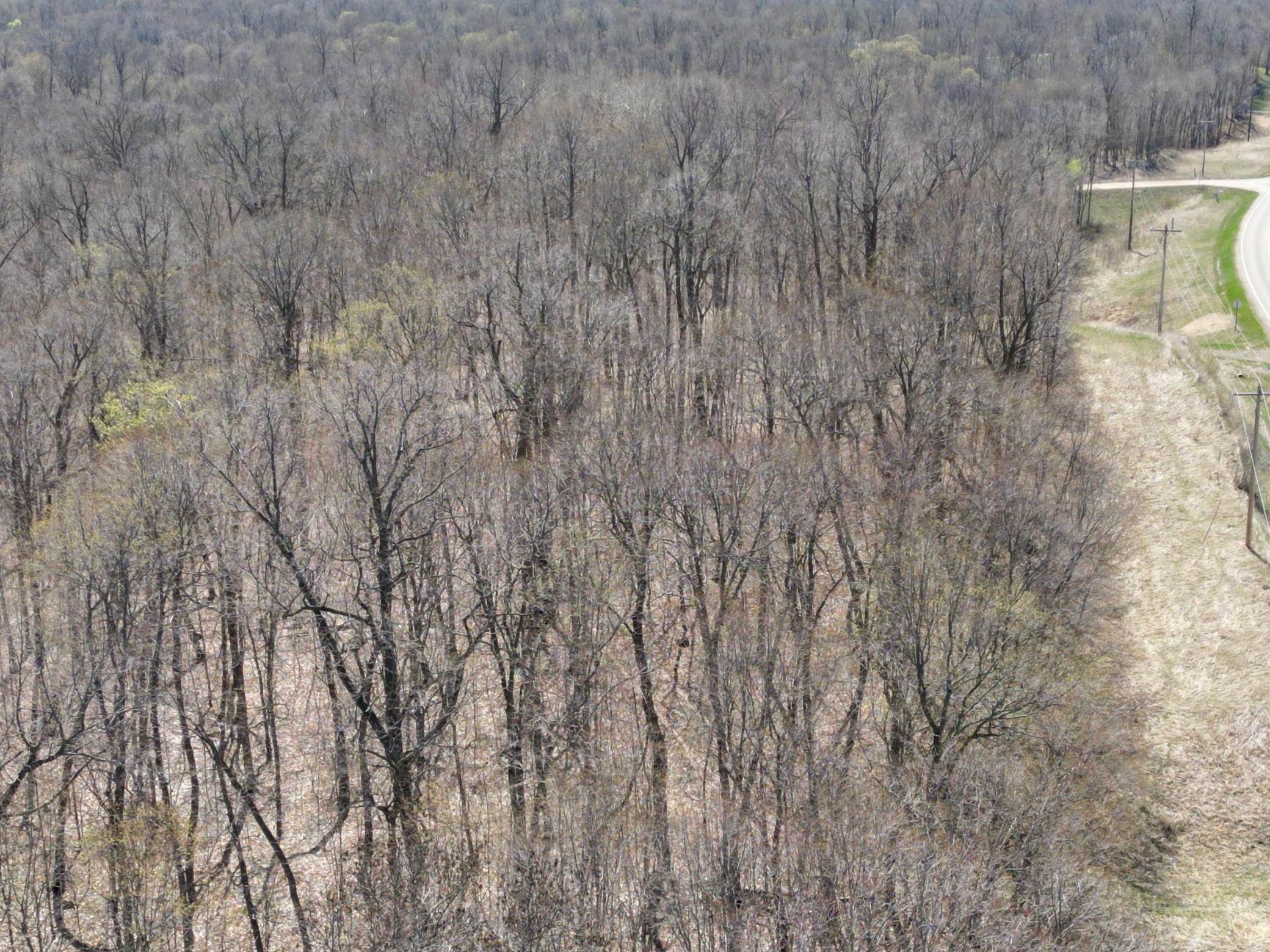 4713X County Highway 31, Pelican Rapids, Minnesota image 19