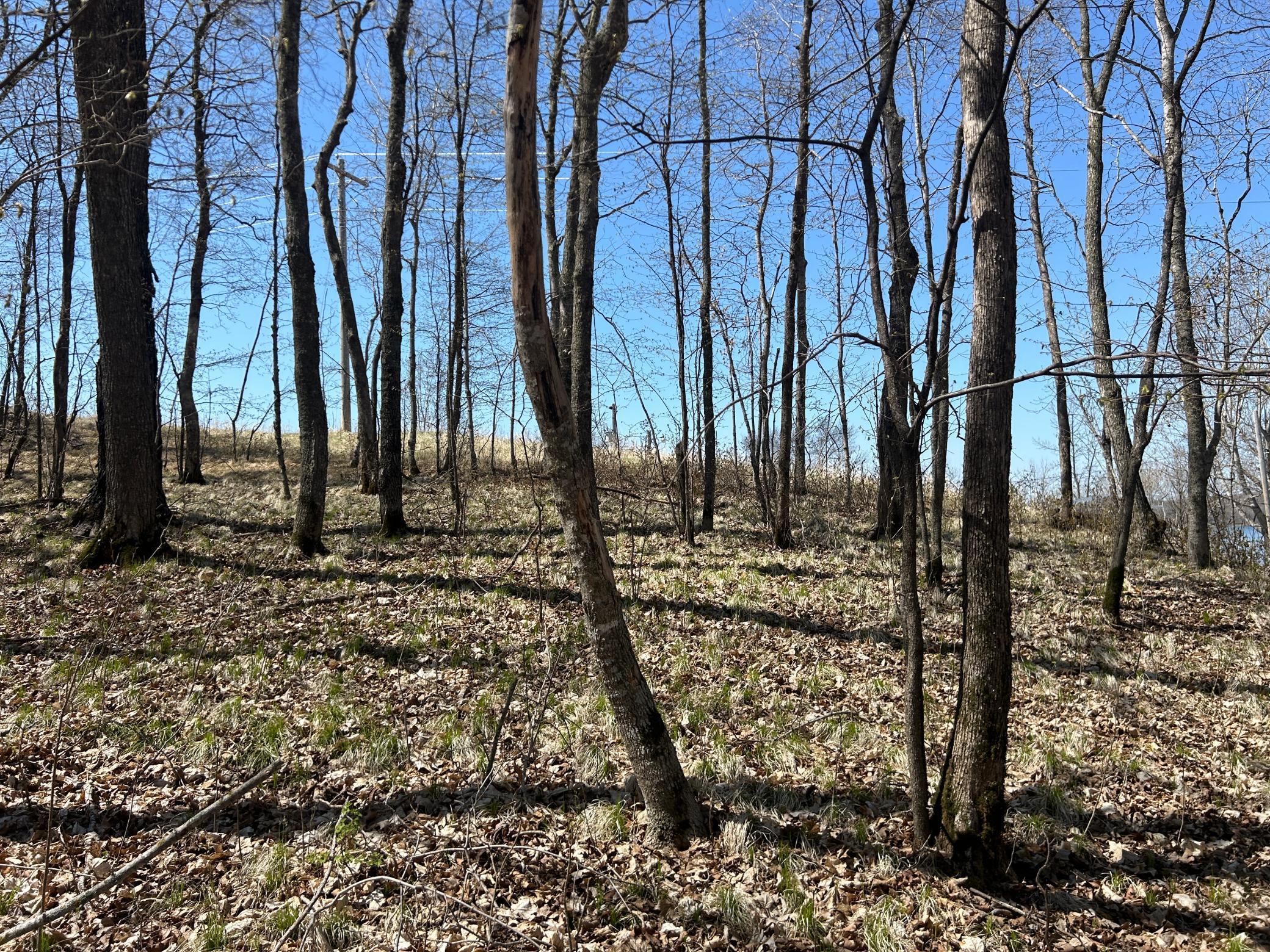 4713X County Highway 31, Pelican Rapids, Minnesota image 9