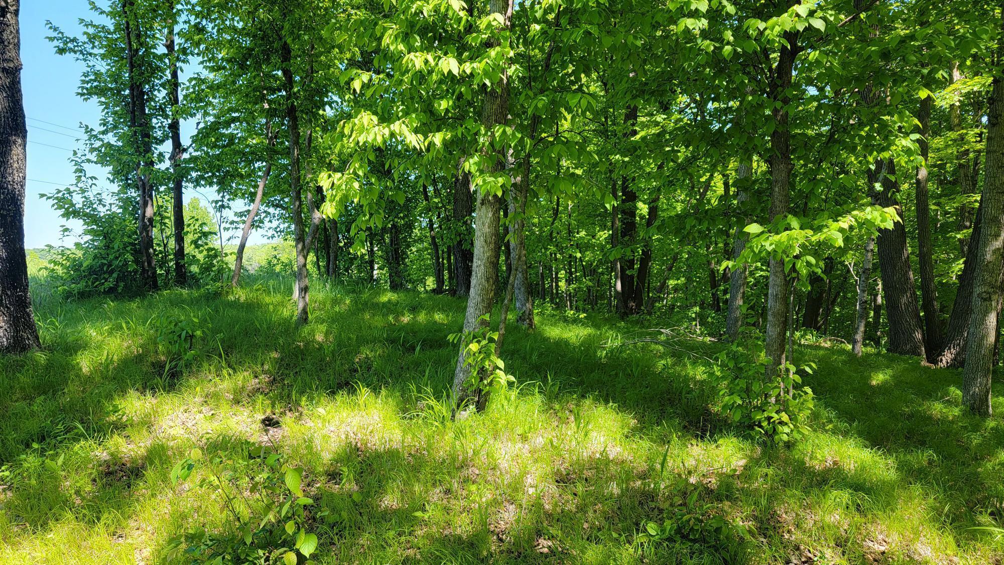 4713X County Highway 31, Pelican Rapids, Minnesota image 30