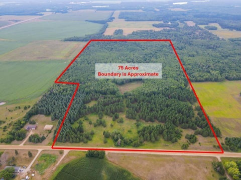 Vacant Land For Sale - TBD County Road 125<br/> Park Rapids, MN 56470