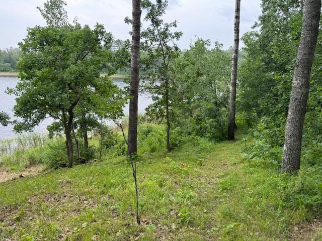 56480 198th Street, Park Rapids, Minnesota image 29