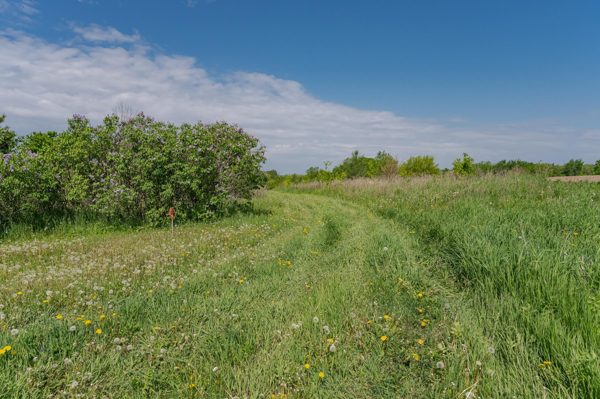 Xxxxx Spring Road, Chatfield, Minnesota image 32