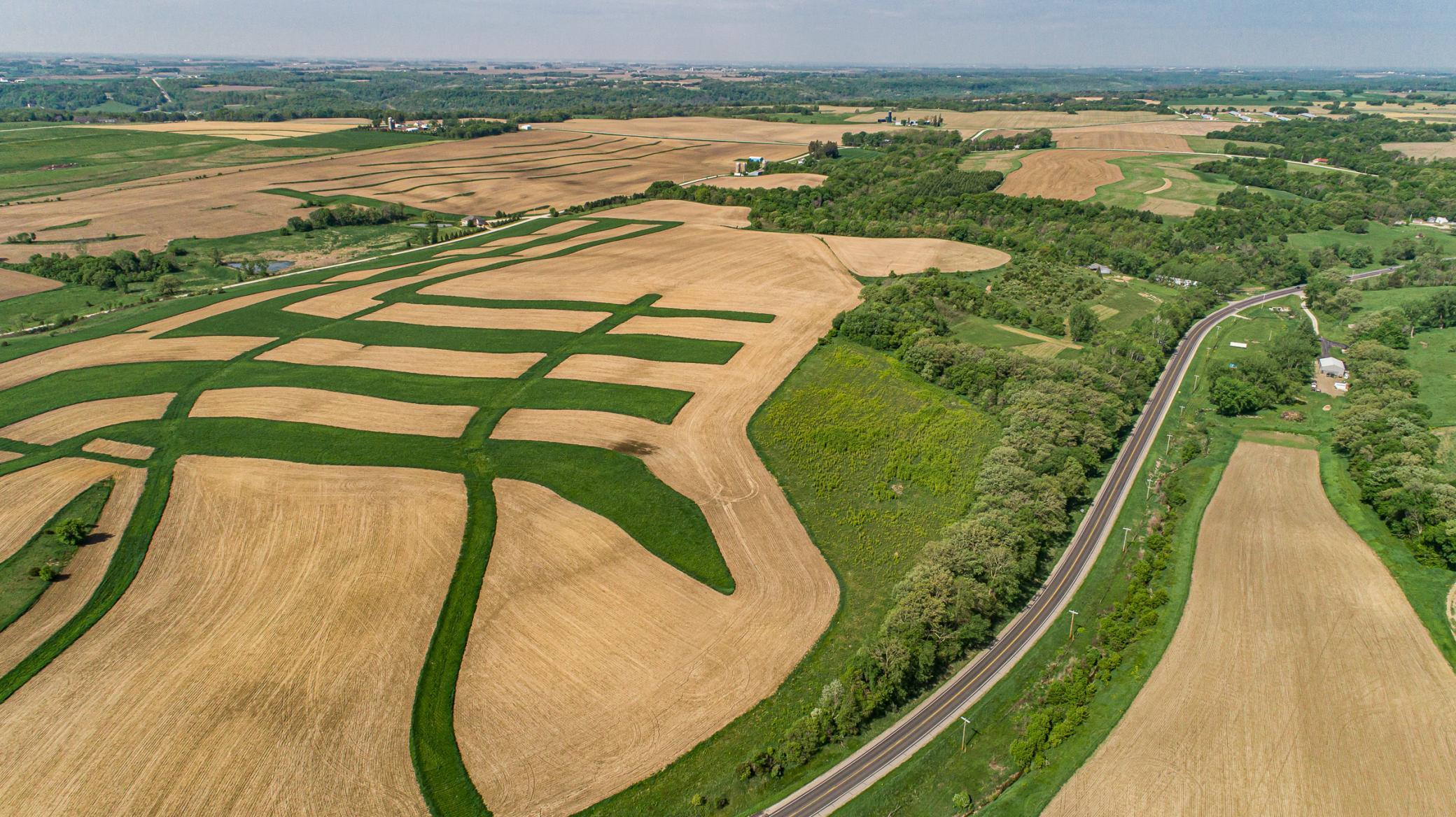 Xxxxx Spring Road, Chatfield, Minnesota image 24