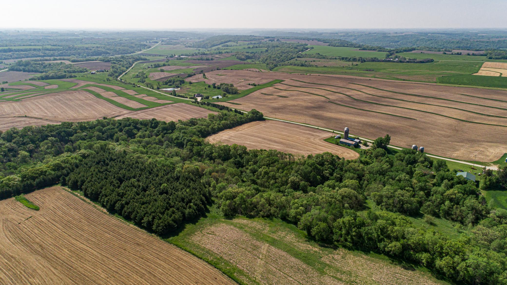 Xxxxx Spring Road, Chatfield, Minnesota image 19