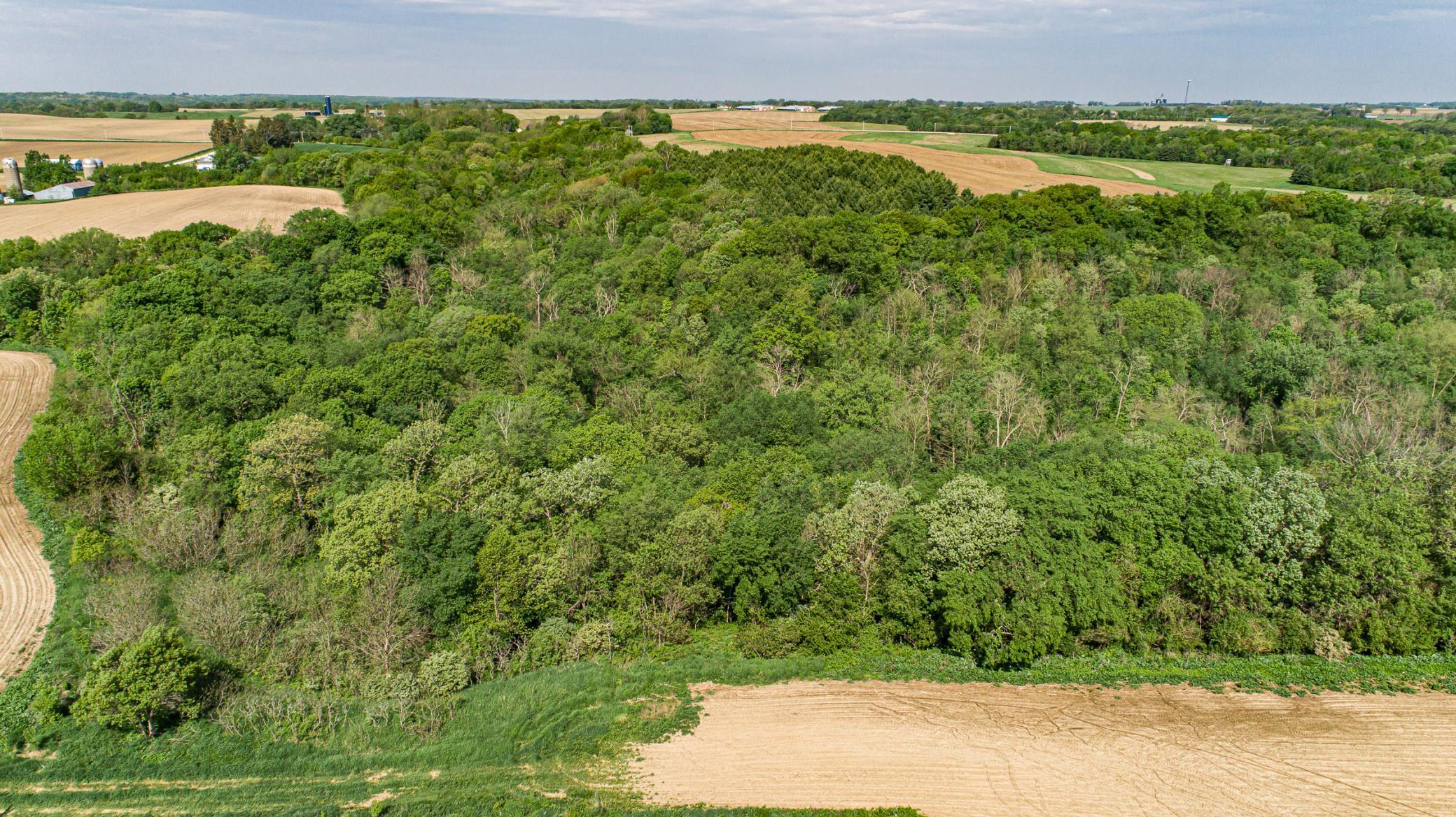 Xxxxx Spring Road, Chatfield, Minnesota image 26