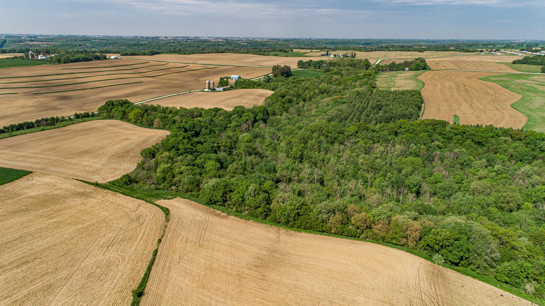 Xxxxx Spring Road, Chatfield, Minnesota image 25