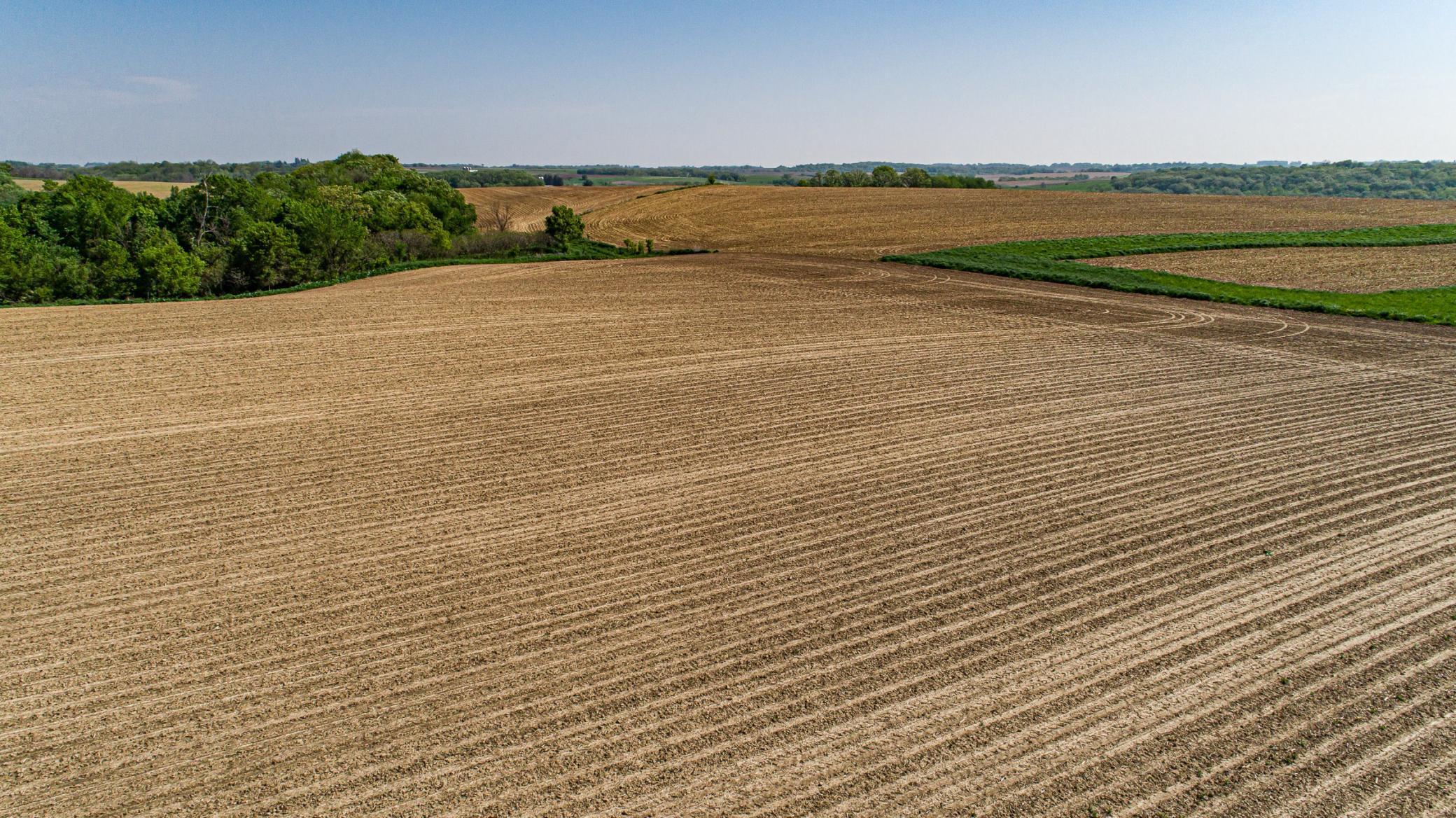 Xxxxx Spring Road, Chatfield, Minnesota image 30