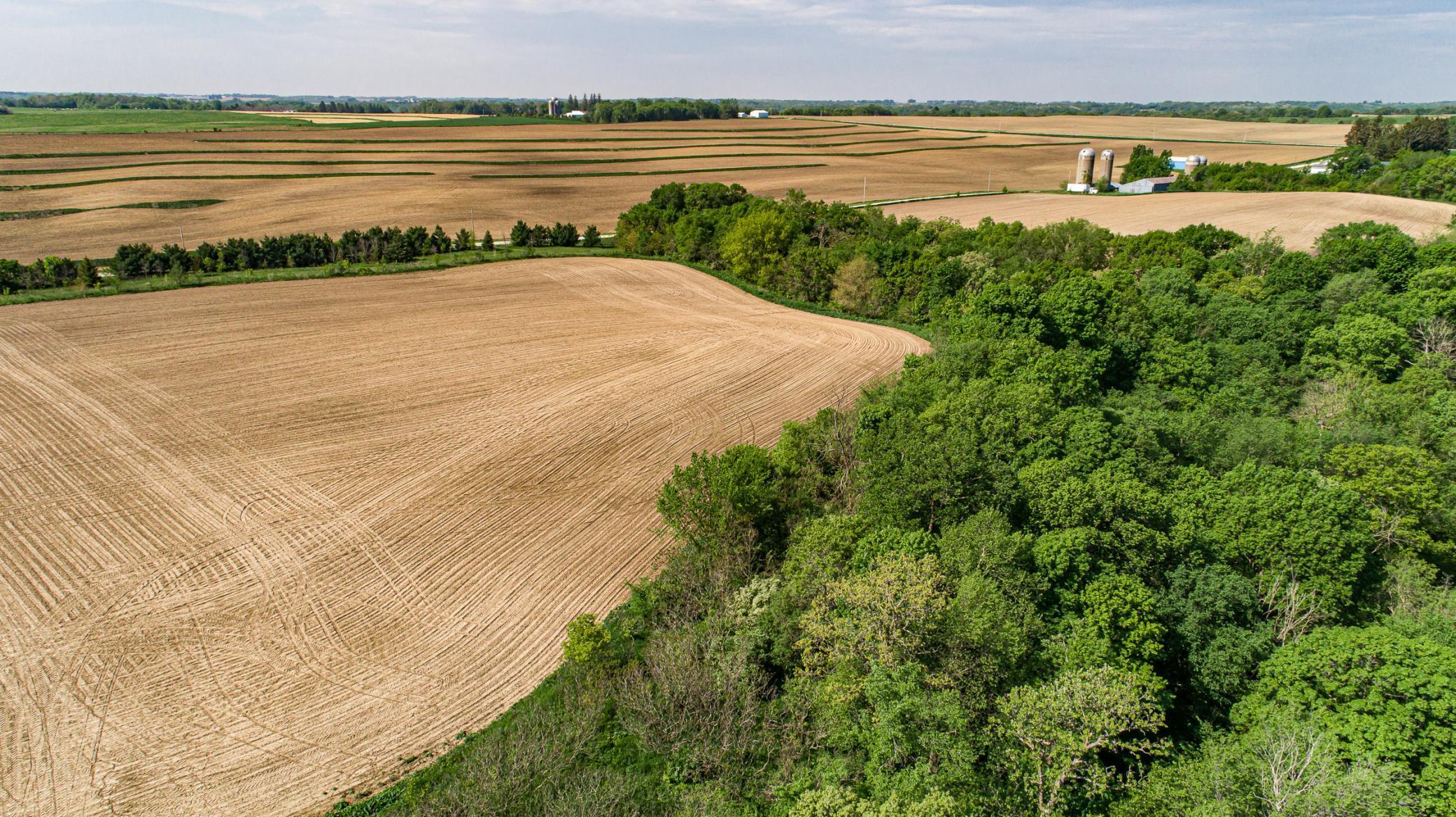 Xxxxx Spring Road, Chatfield, Minnesota image 27
