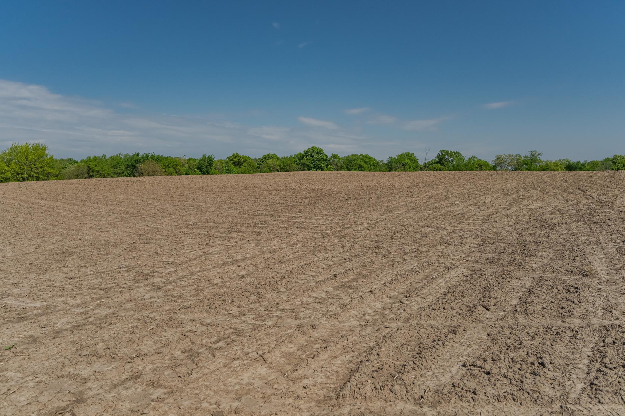 Xxxxx Spring Road, Chatfield, Minnesota image 33
