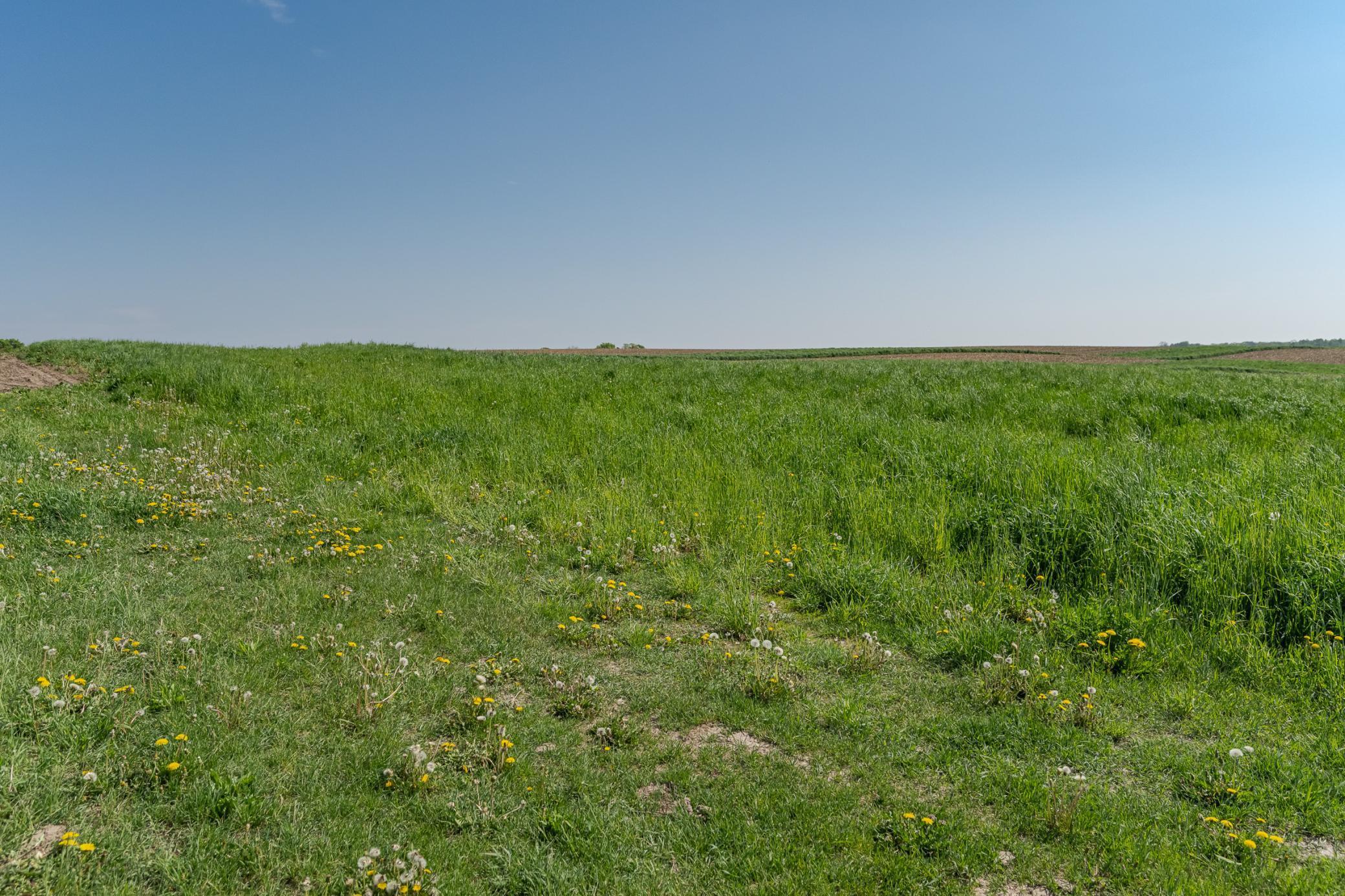 Xxxxx Spring Road, Chatfield, Minnesota image 31