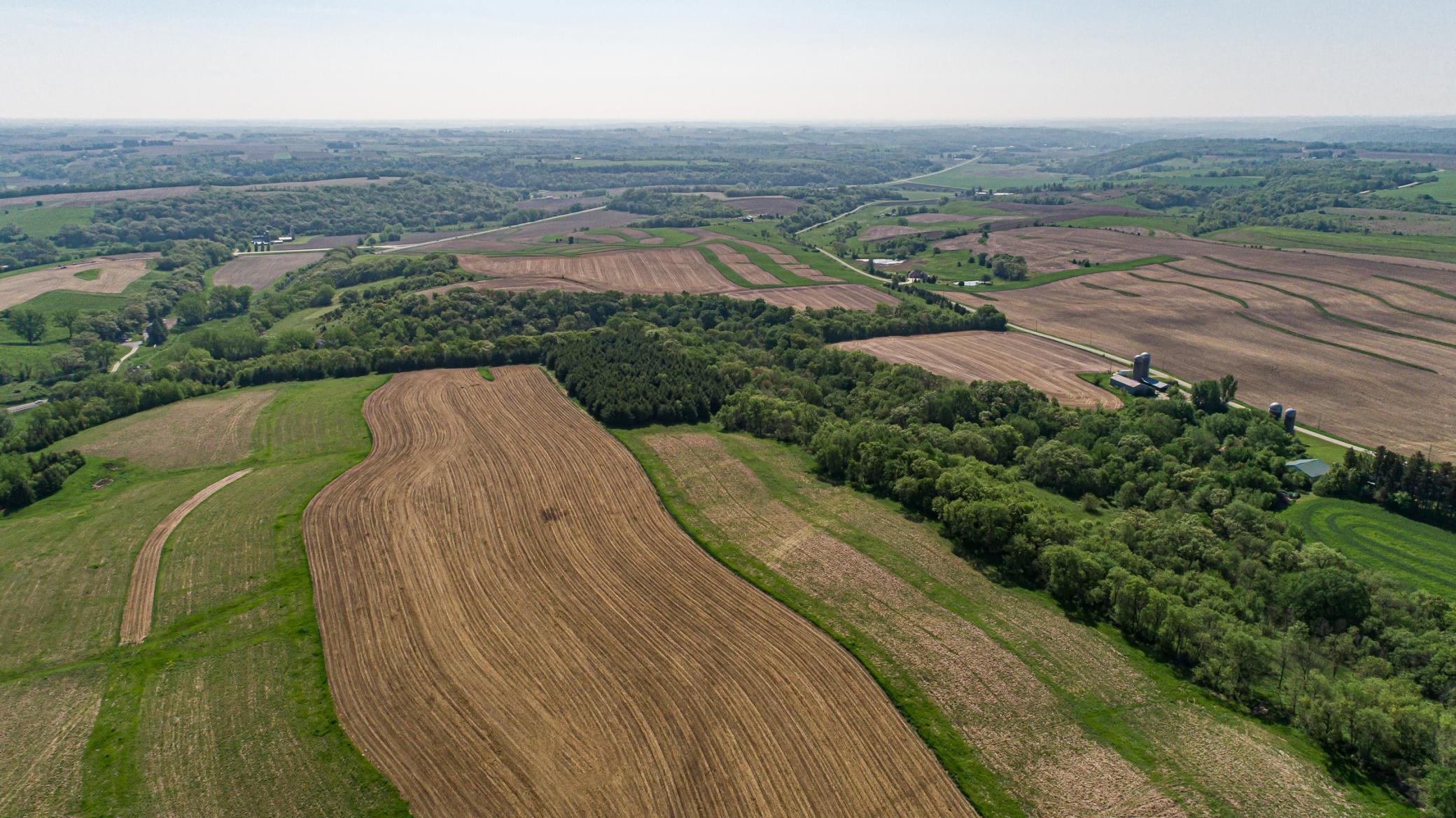 Xxxxx Spring Road, Chatfield, Minnesota image 18