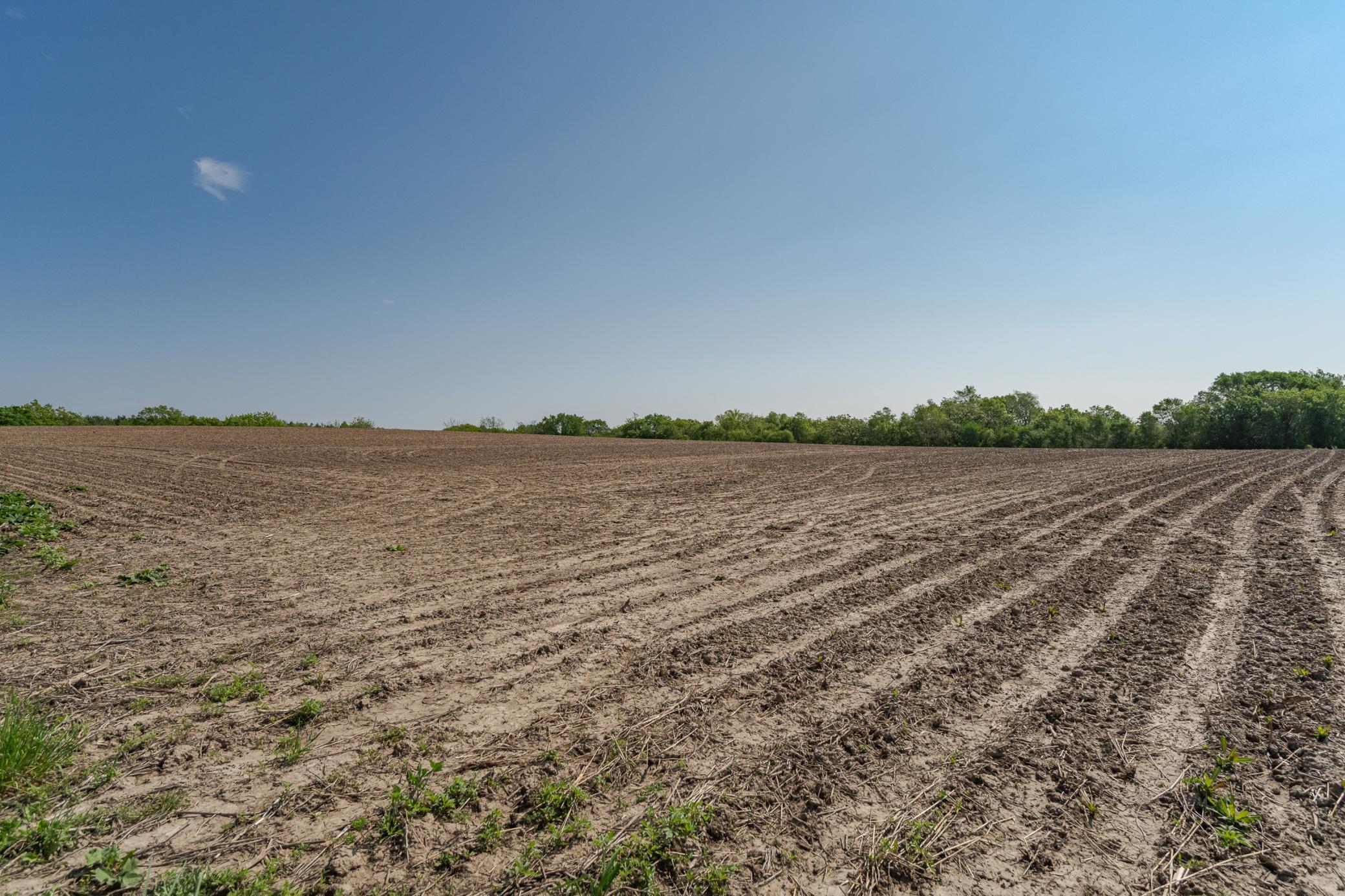 Xxxxx Spring Road, Chatfield, Minnesota image 35