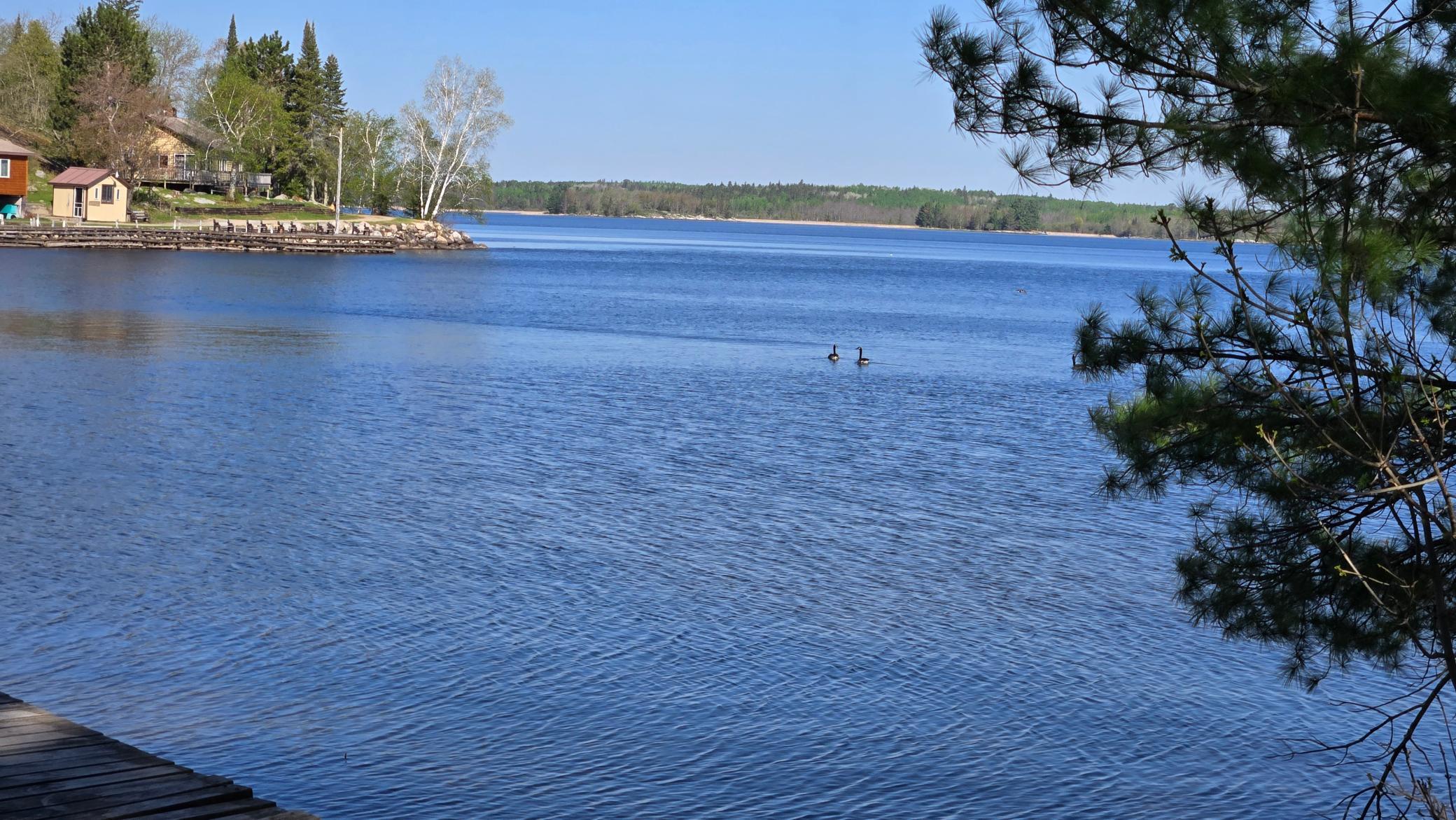 9980 Cedar Lane Lot 4 Ln, Kabetogama, Minnesota image 26