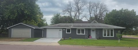 Homes For Sale - 1502 2nd Avenue<br/> Cottonwood County, Mountain Lake, MN 56159