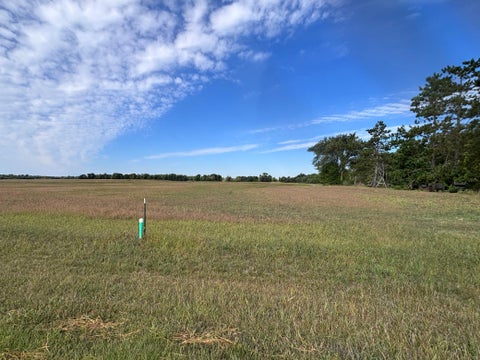 Vacant Land For Sale - TBD LOT 1 BLK 2 Chainview Drive Ave<br/> Douglas County, Alexandria, MN 56308