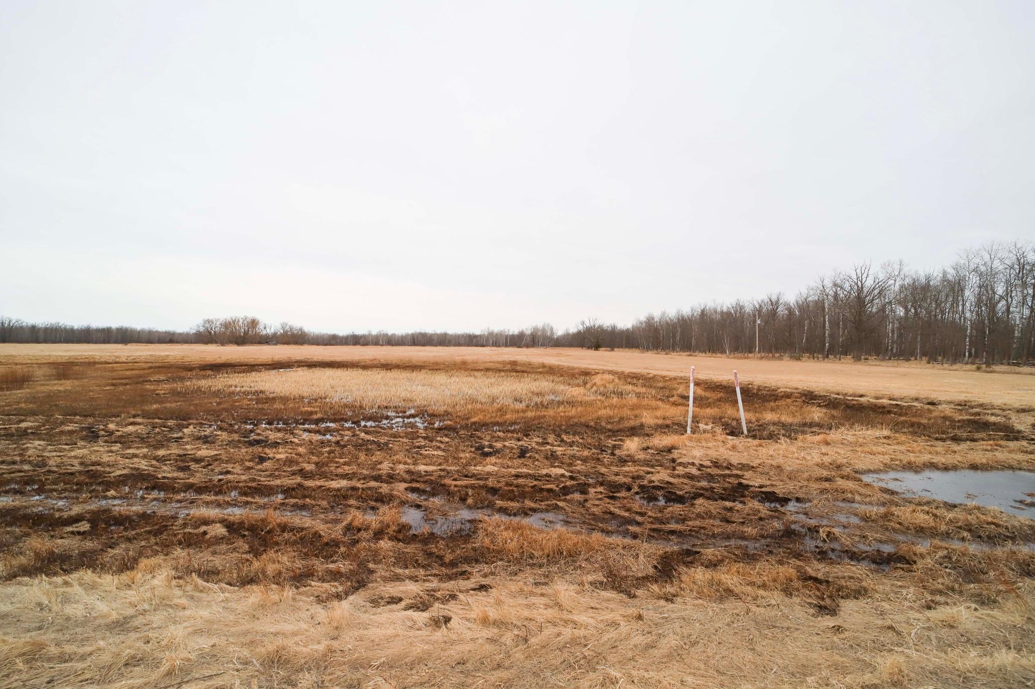 TBD County Road 30, Aitkin, Minnesota image 4