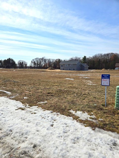 Vacant Land For Sale - 24148 Taylor Street<br/> Bethel, MN 55005