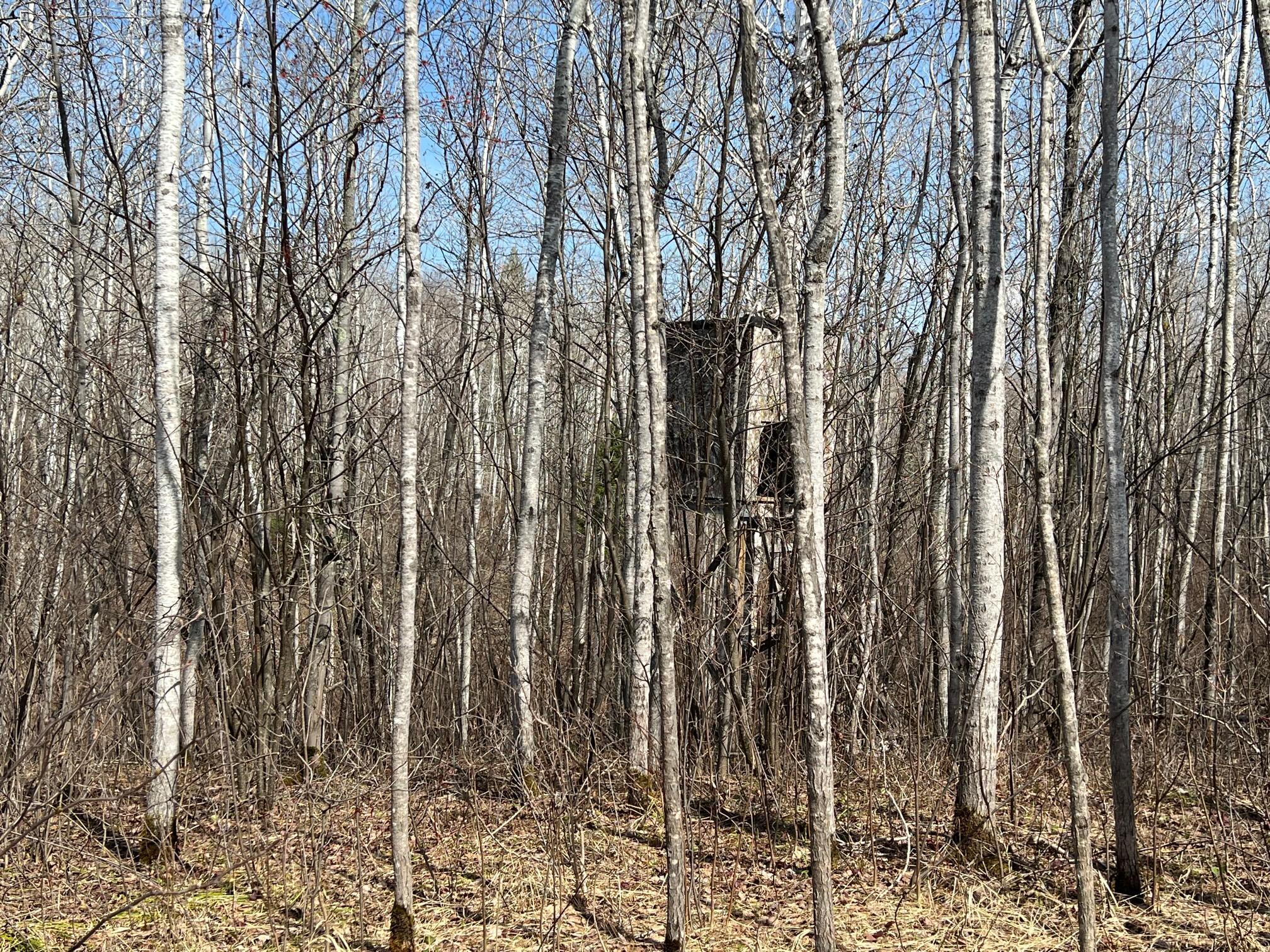 TBD Gulley Road, Maple, Wisconsin image 17