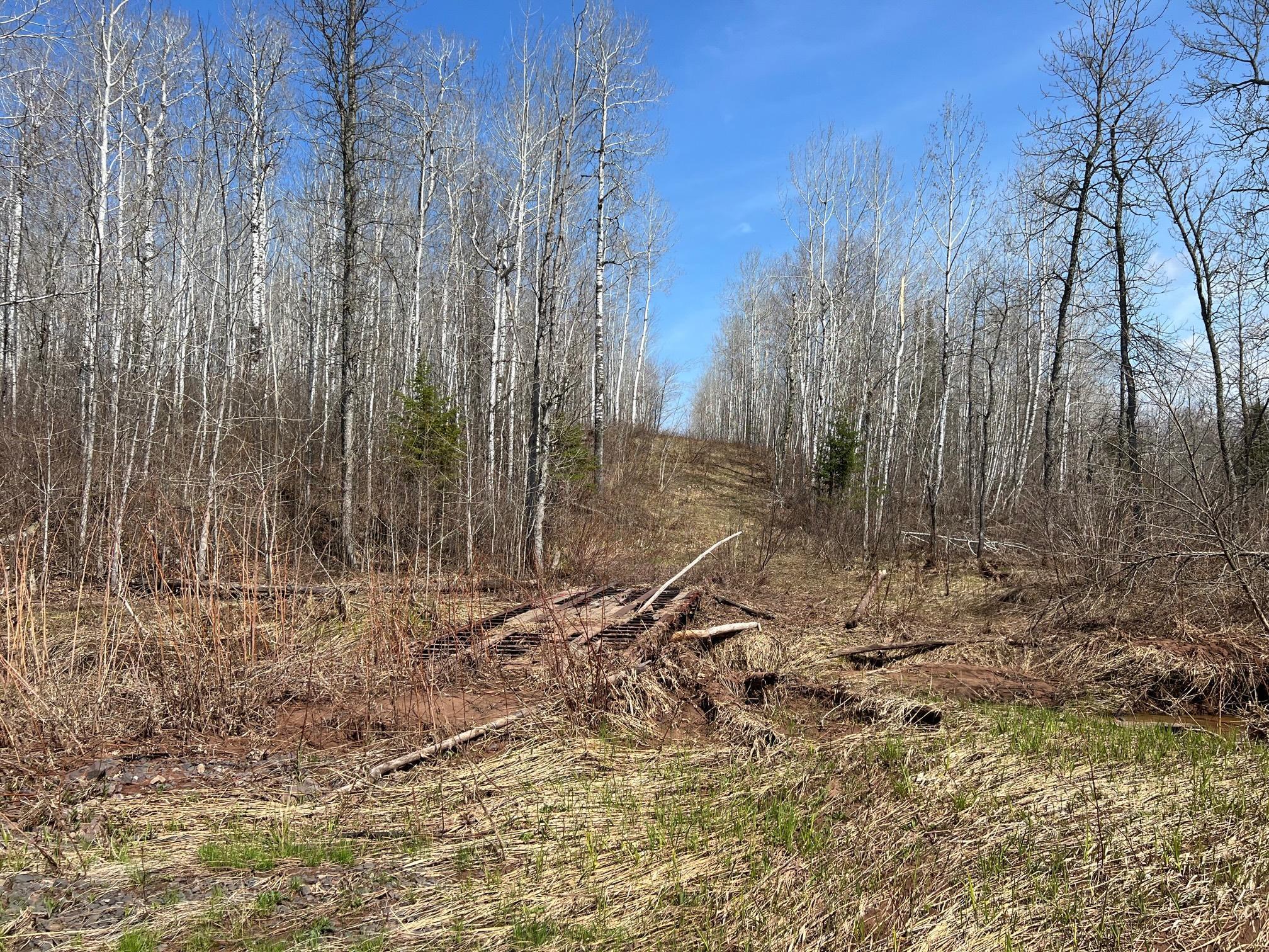 TBD Gulley Road, Maple, Wisconsin image 18