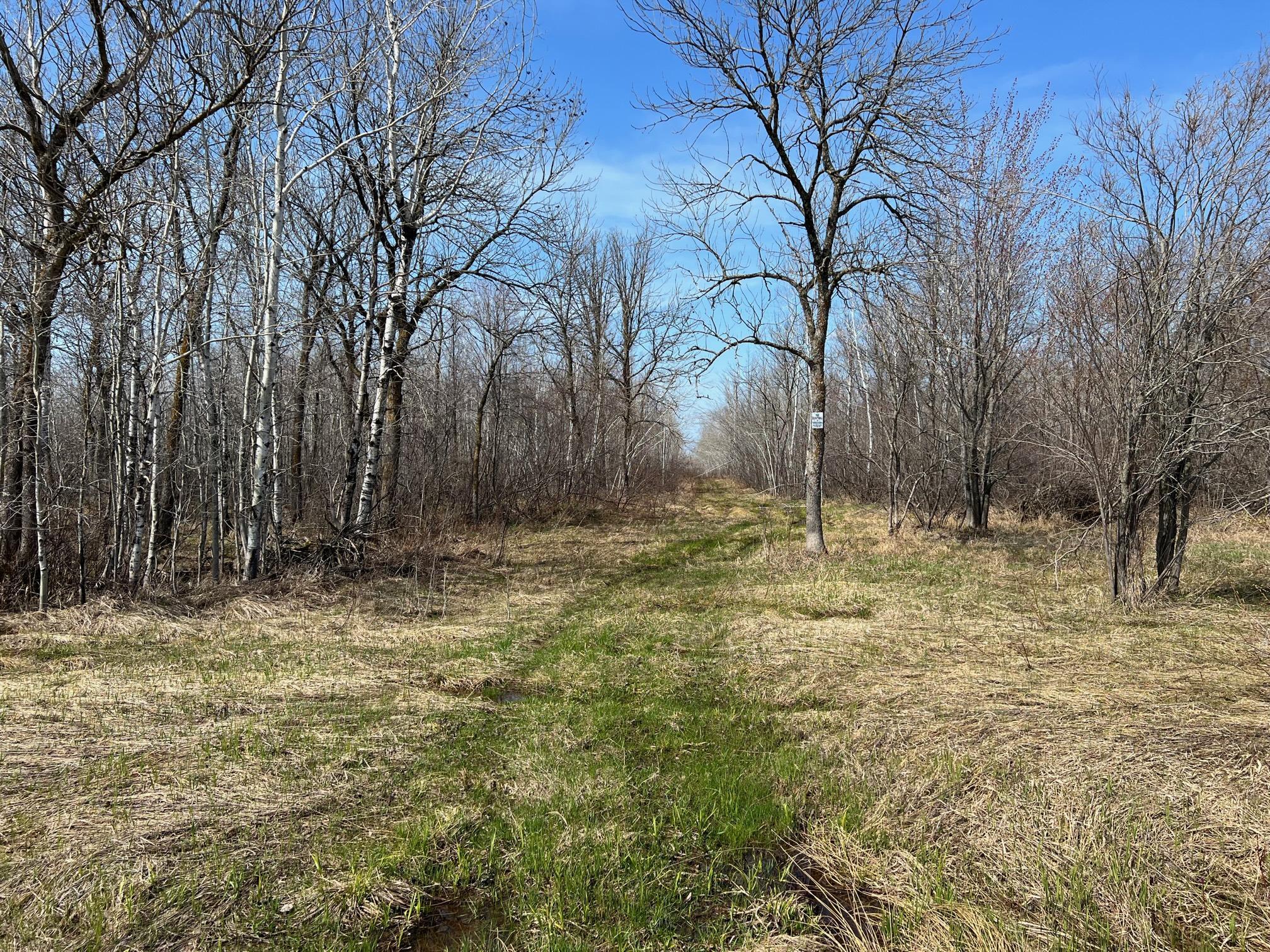 TBD Gulley Road, Maple, Wisconsin image 2