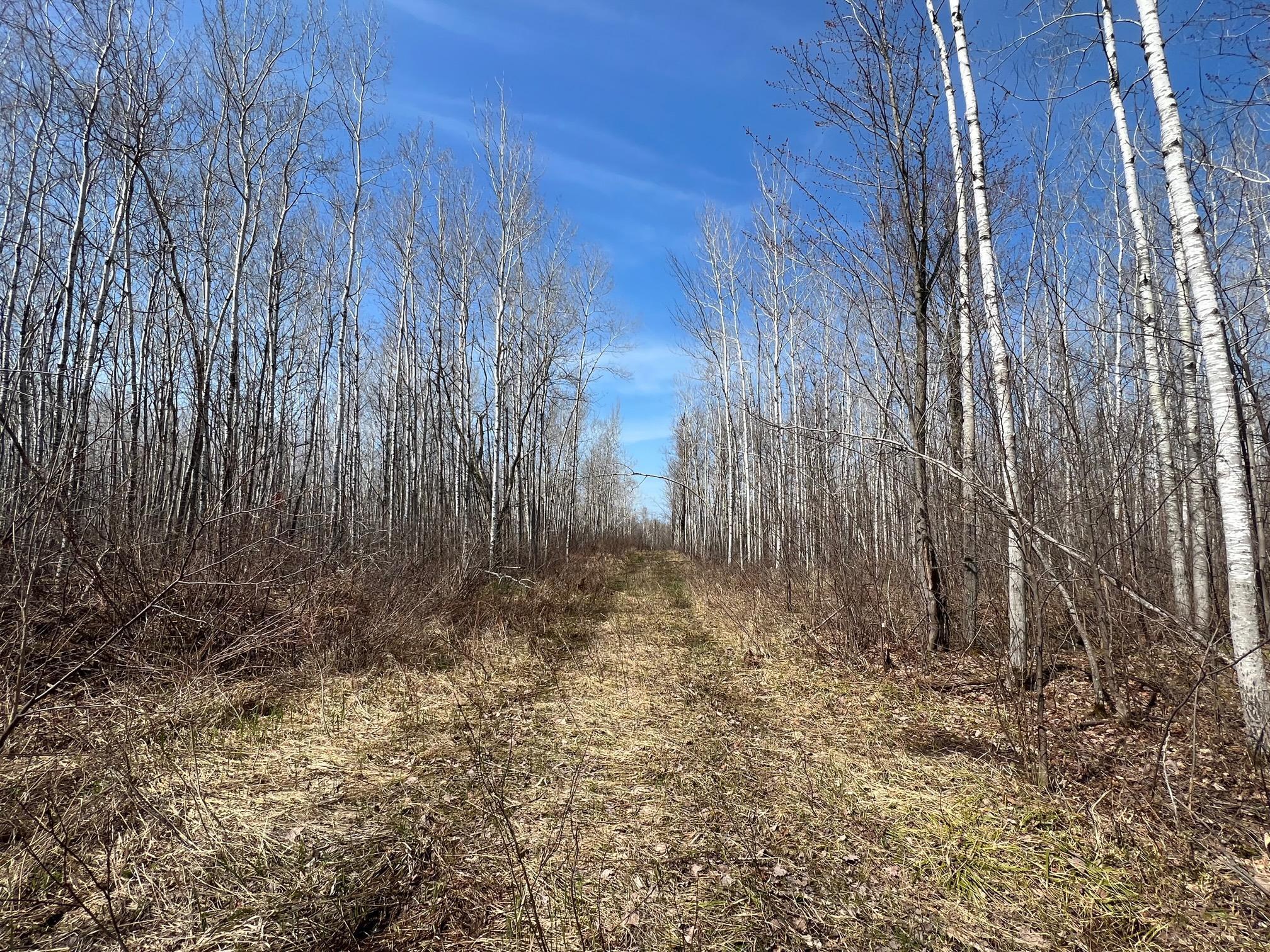 TBD Gulley Road, Maple, Wisconsin image 16