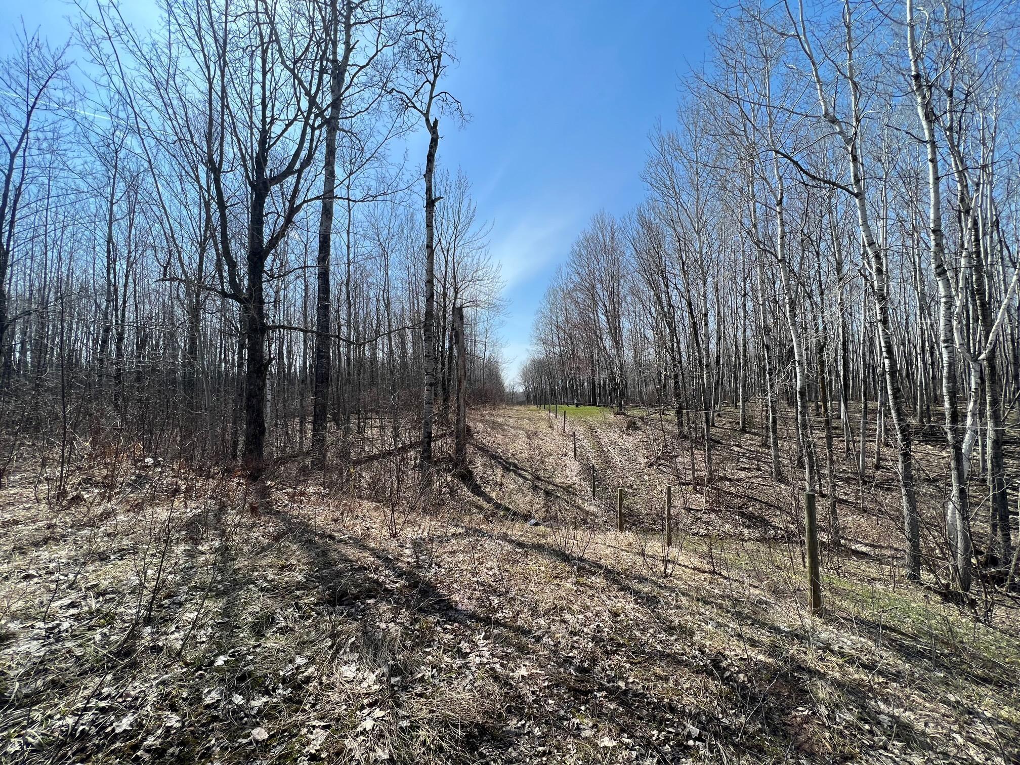 TBD Gulley Road, Maple, Wisconsin image 3