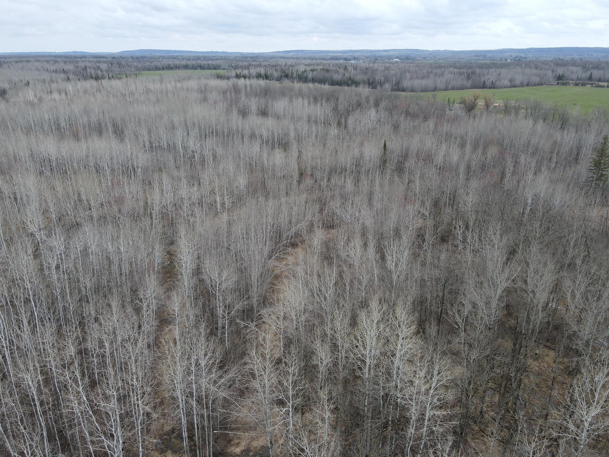 TBD Gulley Road, Maple, Wisconsin image 21