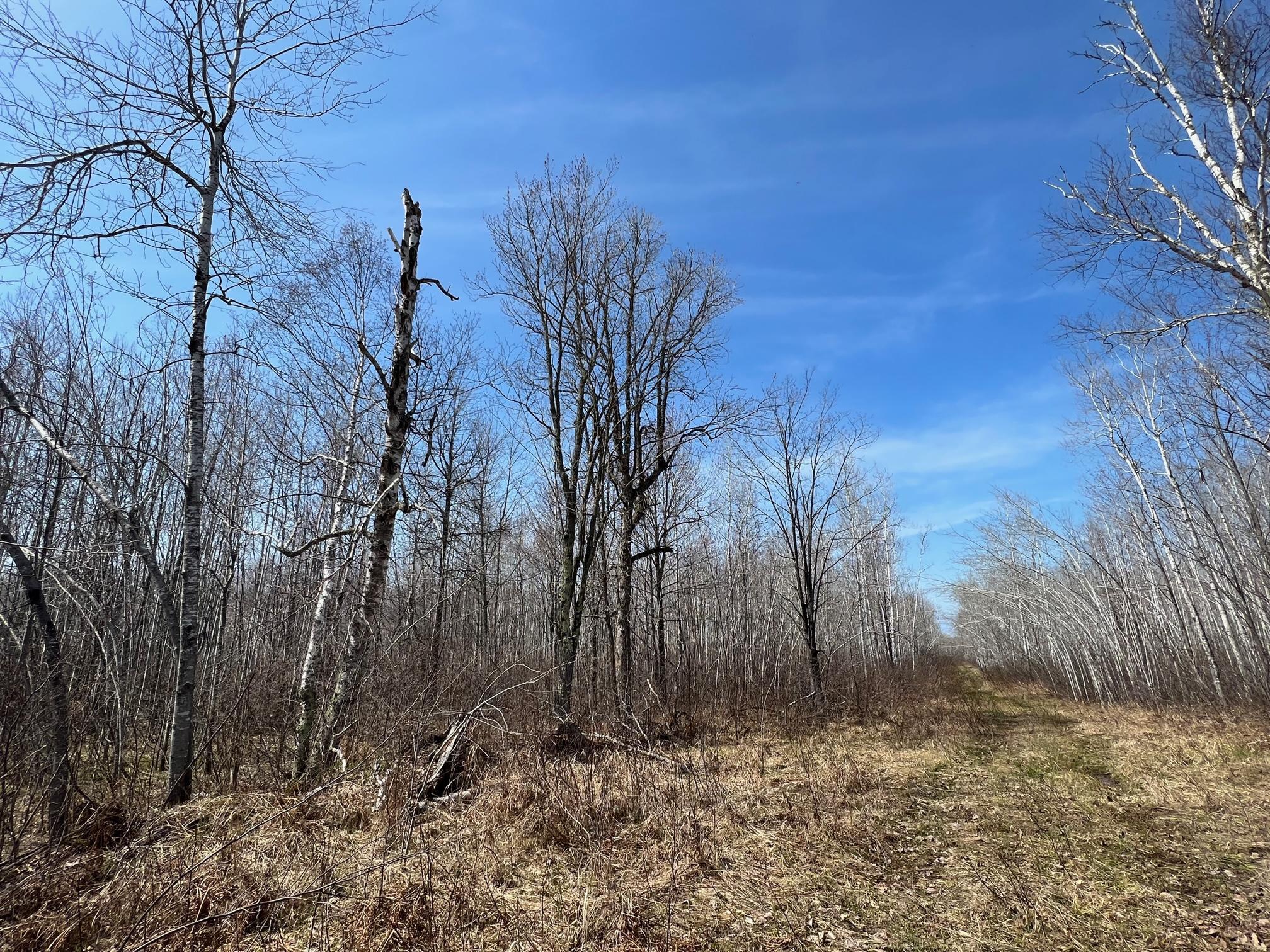 TBD Gulley Road, Maple, Wisconsin image 19