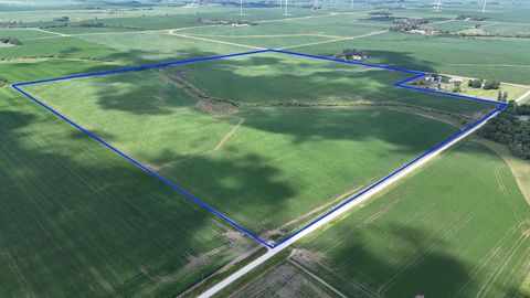 Vacant Land For Sale - XXX 310th Street<br/> Mower County, Waltham, MN 55982